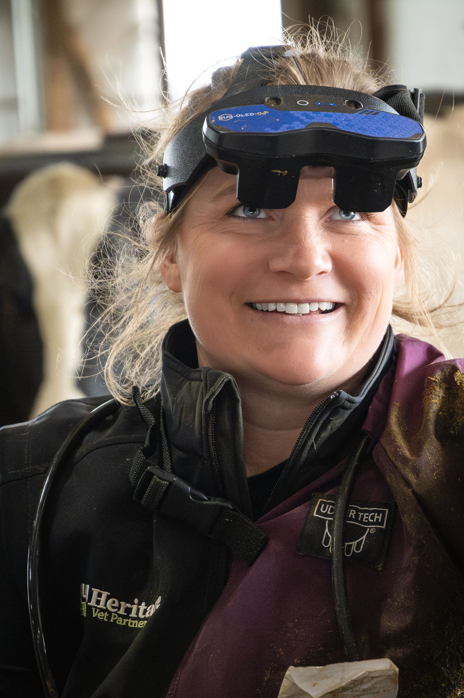 Female vet wearing augmented reality smart glasses headset smiling in a barn with cattle in background.