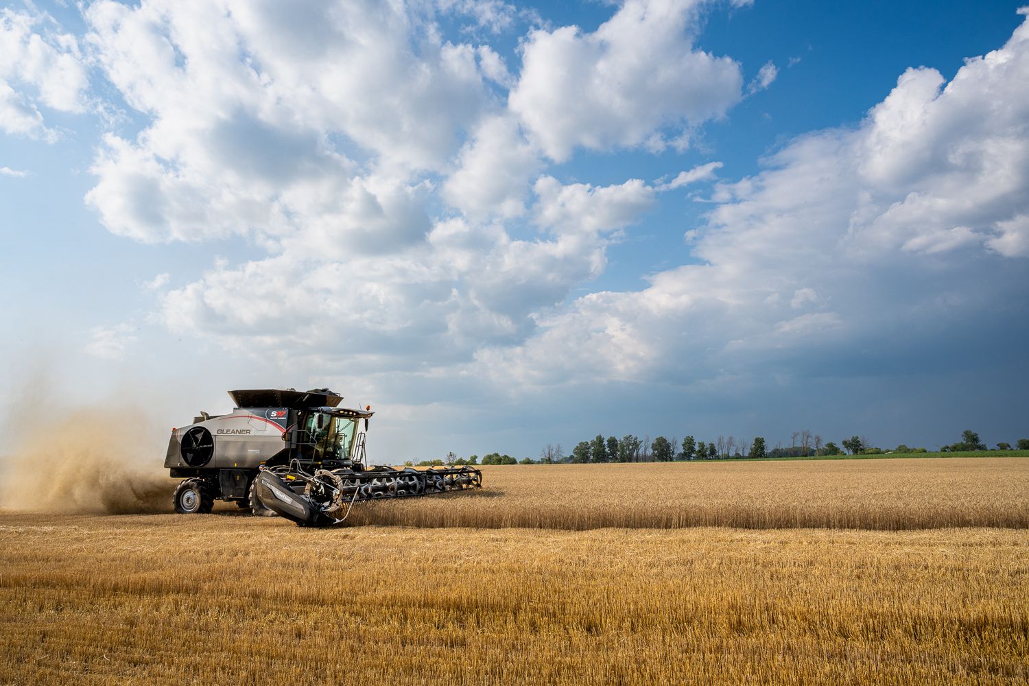 Farm machinery kicks up dust while harvesting wheat under puffy white clouds. Gleaner S97 in Oshkosh Wisconsin.