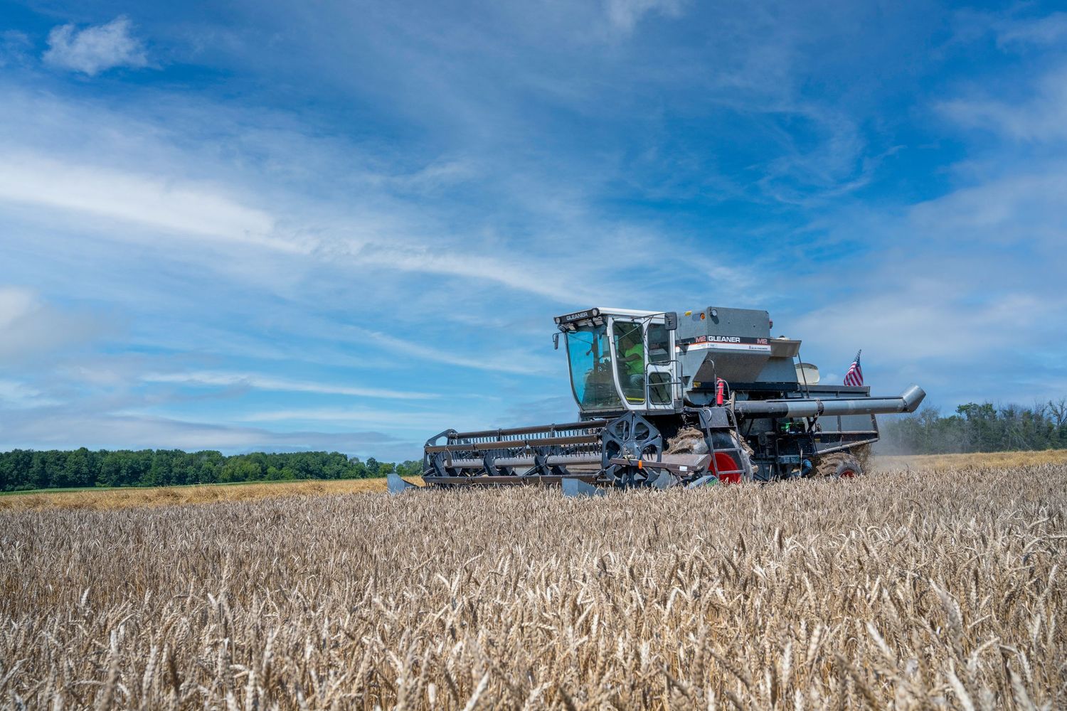 Modern combine harvesters working in golden wheat fields under bright blue summer skies. Gleaner M2 Wisconsin.