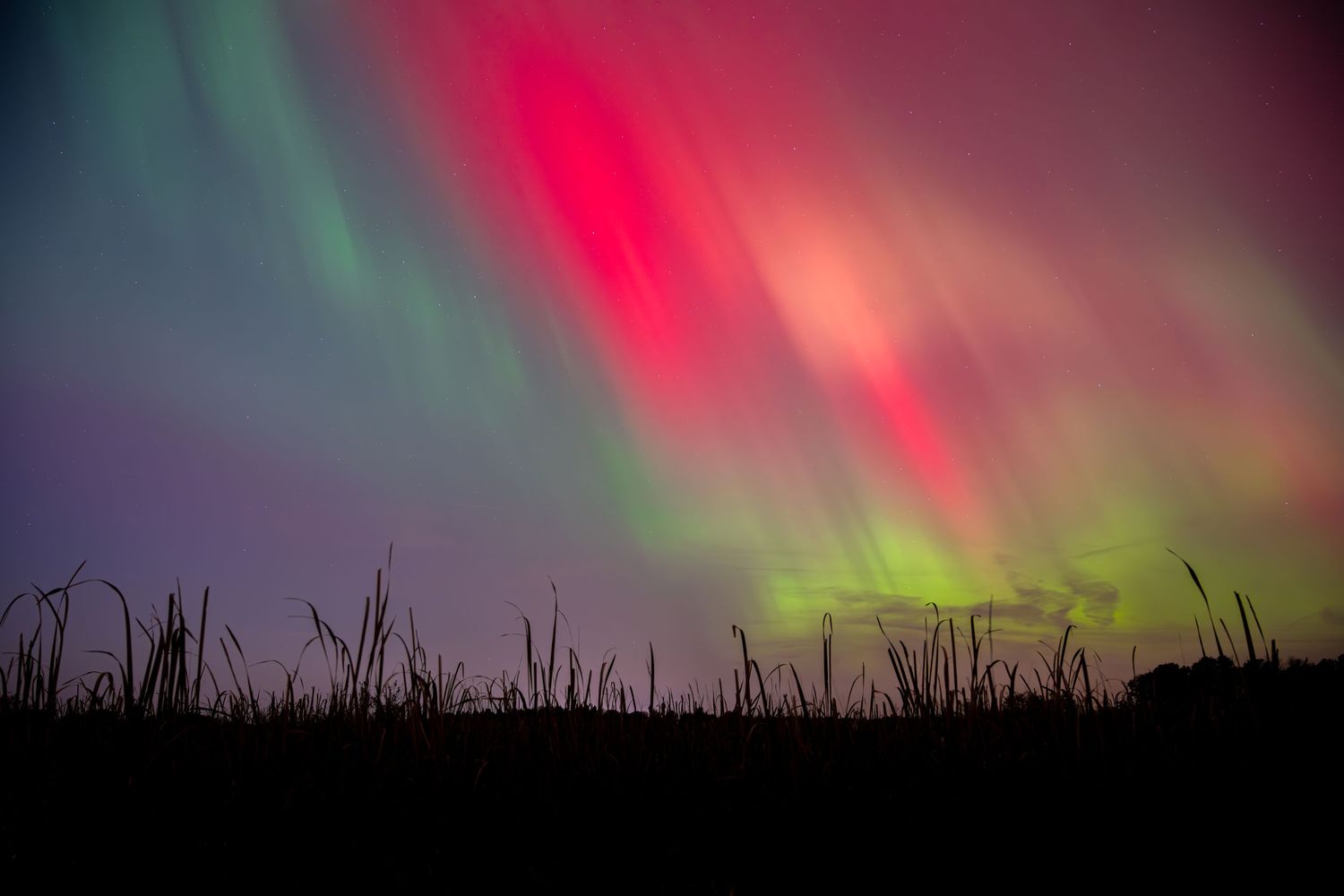 Spectacular aurora borealis display with red and green lights dancing in night sky.
