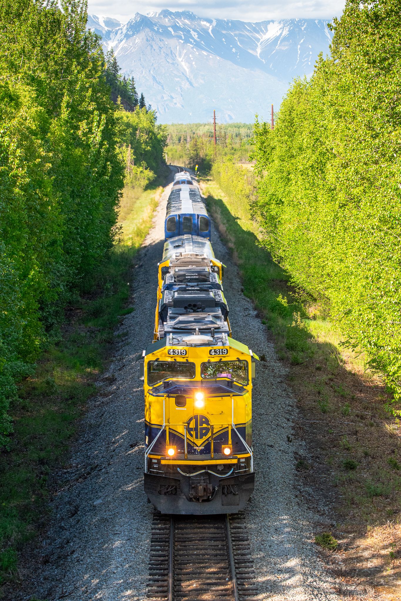 Yellow locomotive approaching on tracks through lush green forest corridor.