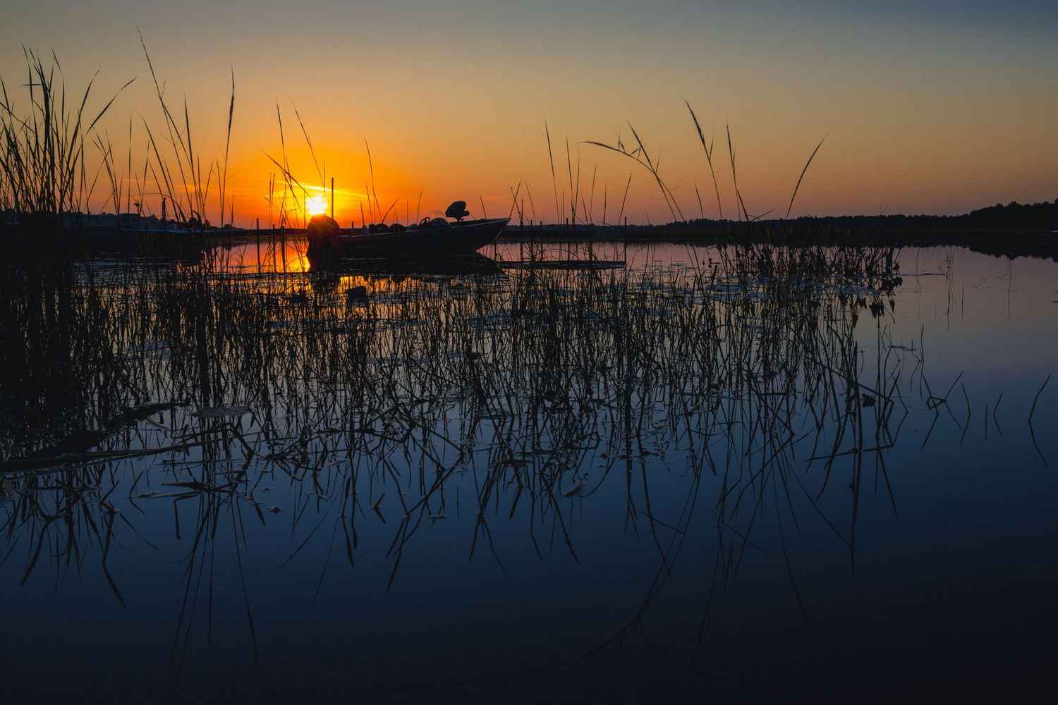 Silhouetted marsh grasses against a dramatic orange sunset over calm water.