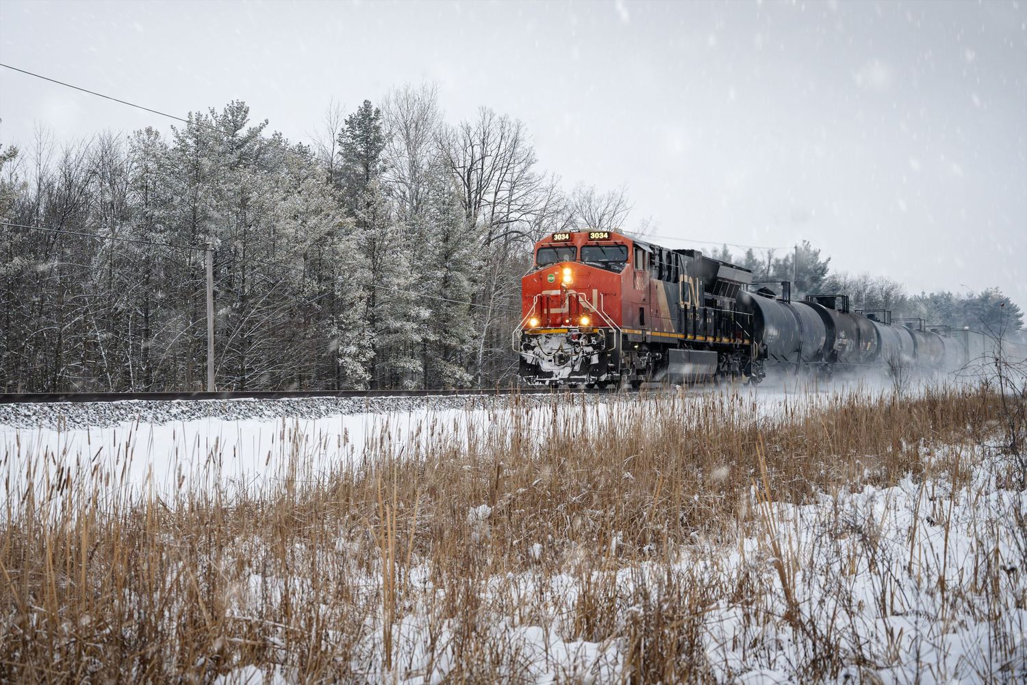 Canadian National locomitve moving through a snowy winter marsh with dramatic overcast skies.