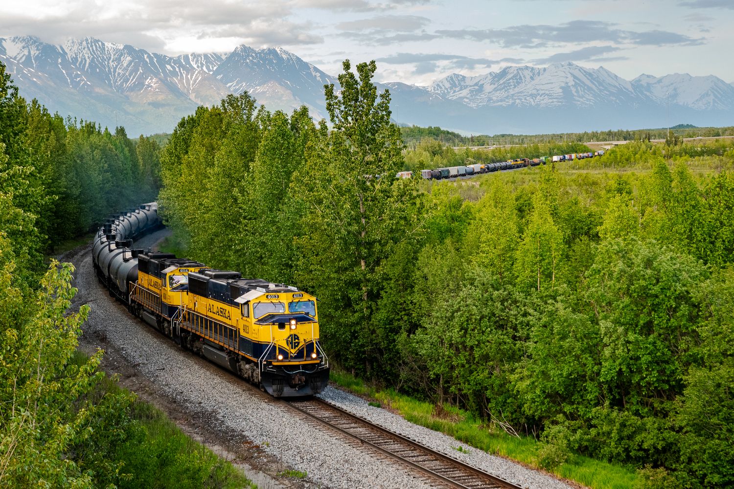 Freight train travels through lush green landscape with mountain backdrop. Alaska Railroad Wasilla Alaska.