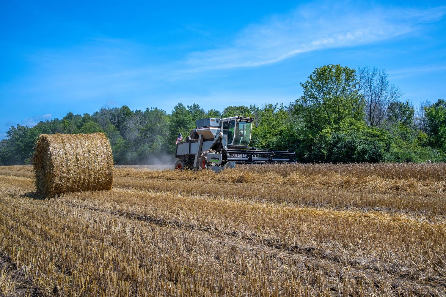 Tractor passing large round hay bale in harvested field on sunny summer day. Gleaner M2 harvesting wheat.