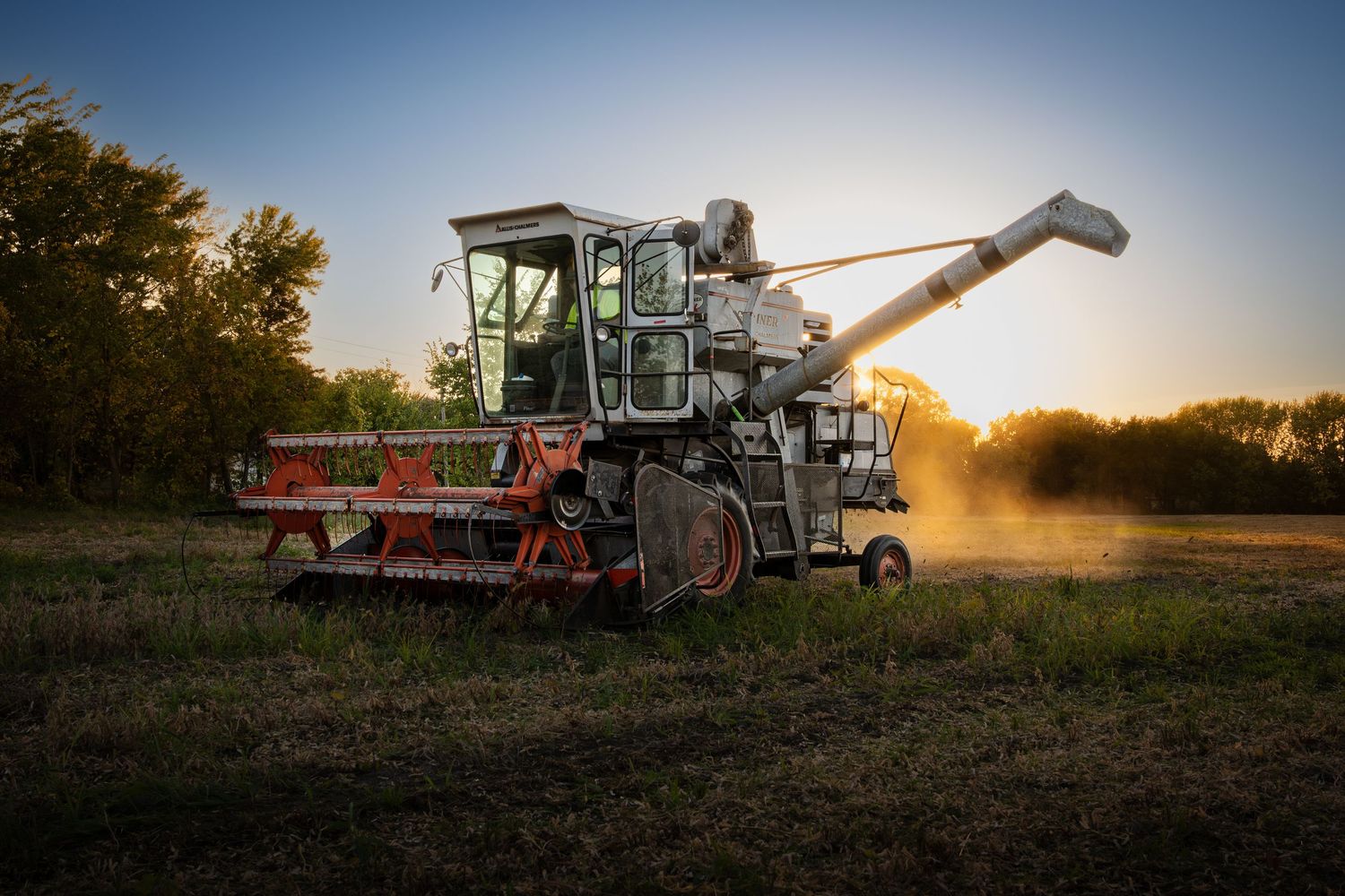 Modern combine harvester working at sunset with dust particles illuminated in golden light. Gleaner E combine harvesting soybeans.