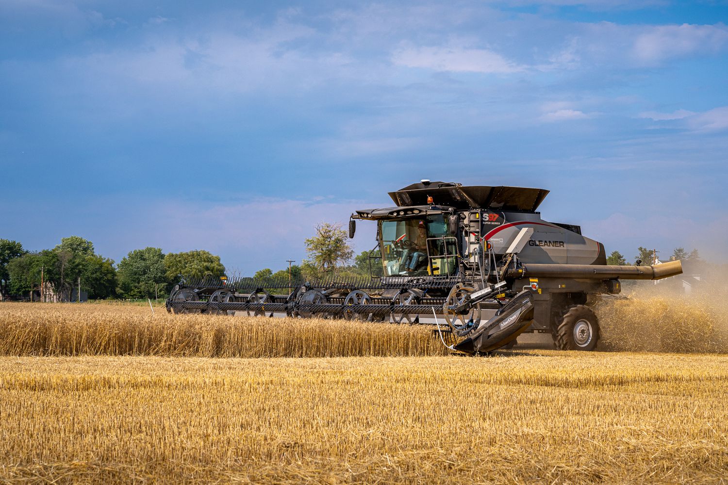 Multiple combine harvesters working together to harvest golden wheat field. Gleaner S97.