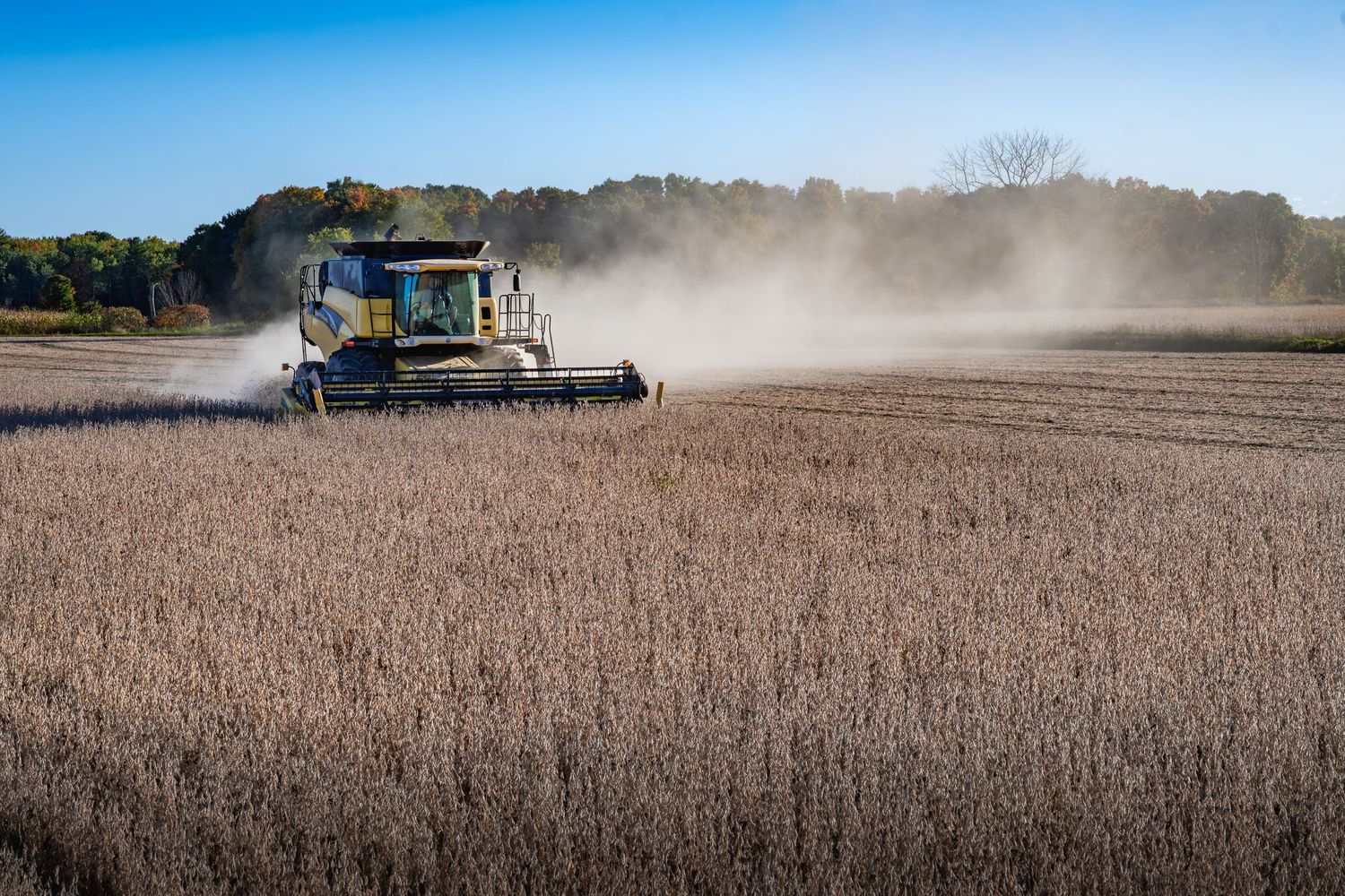Combines harvesting soybeans in vast agricultural fields under blue skies. New Holland CR940 in Door County Wisconsin.