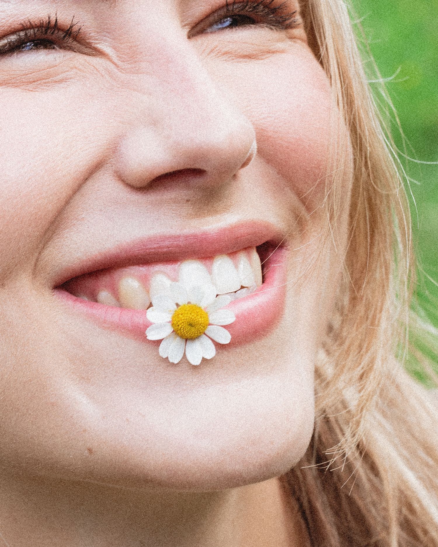 Smiling woman with blonde hair holding a white daisy flower between her teeth, showcasing a bright, healthy smile.  fashion photography,
