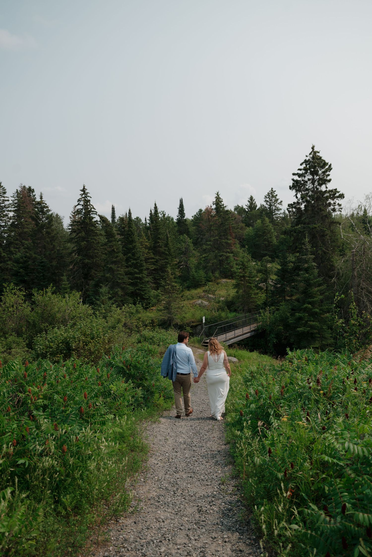 A gravel path winding through evergreen trees and wildflowers leads to a scenic overlook.