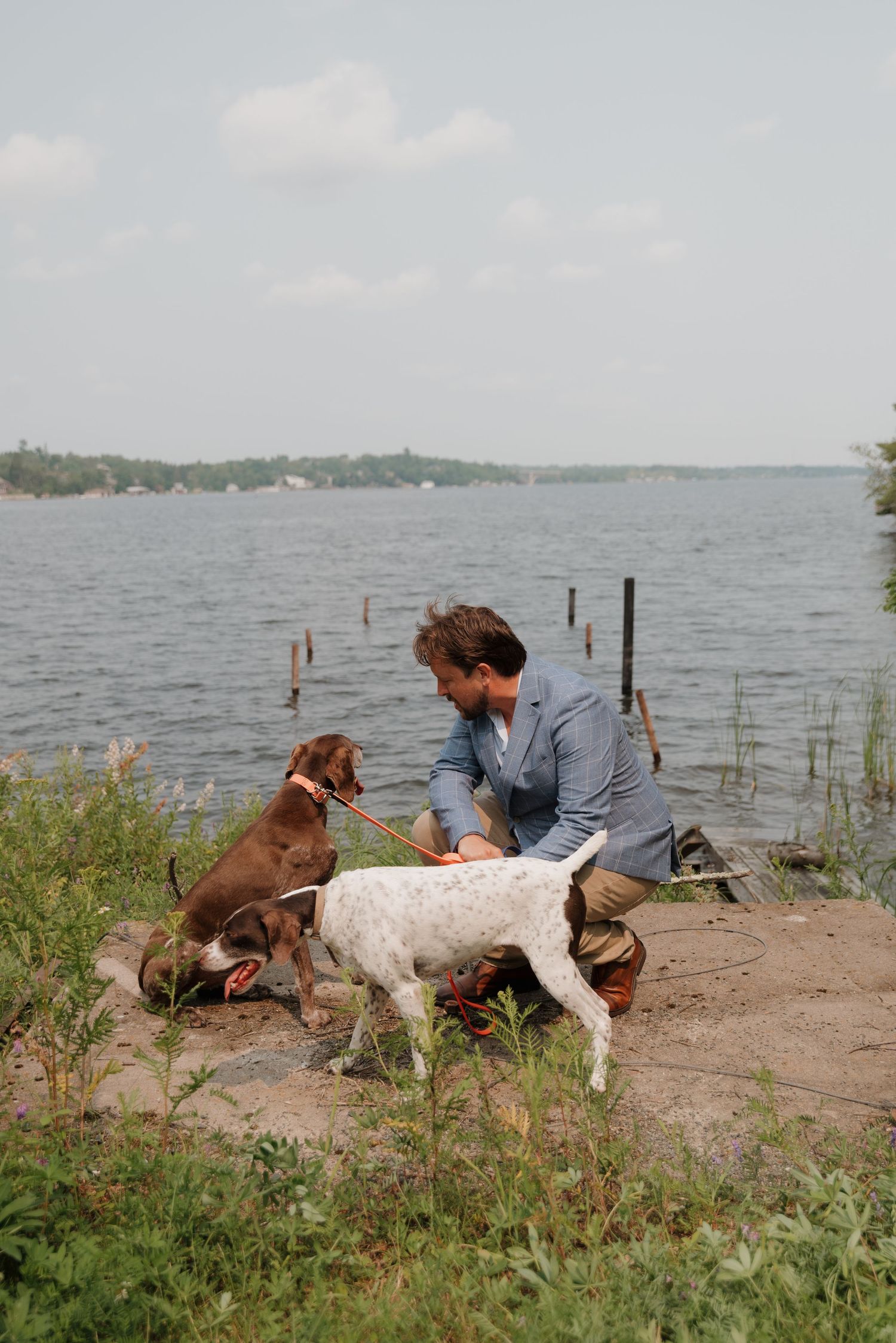 Two dogs and someone relax together on a sandy beach near the water on a sunny day.