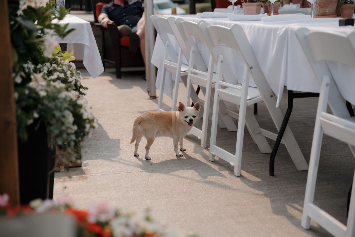 White chairs and decorative elements line a wedding ceremony aisle with floral arrangements.