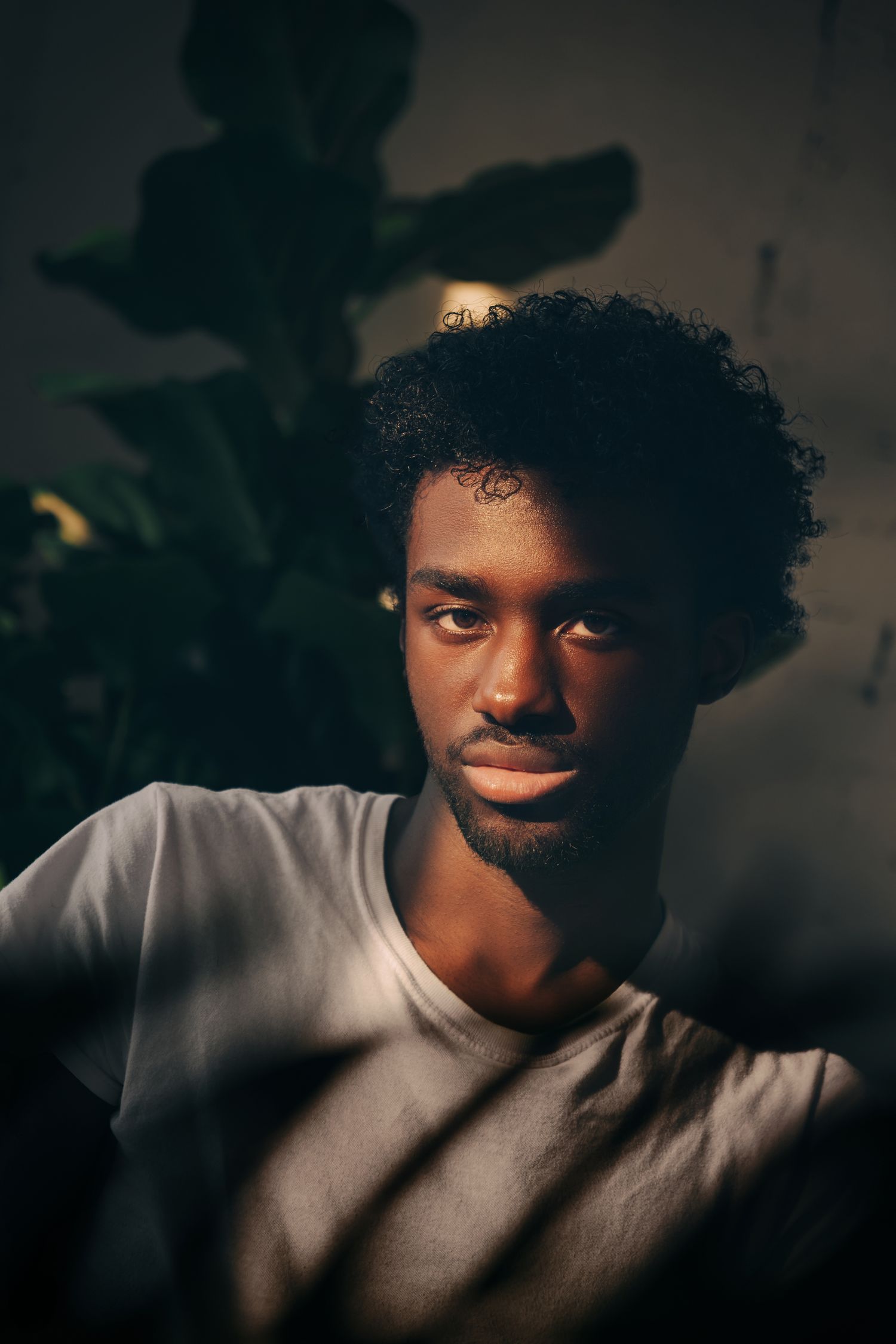Young Black man with curly hair in white t-shirt, lit by dramatic shadows, sitting near green plant indoors.