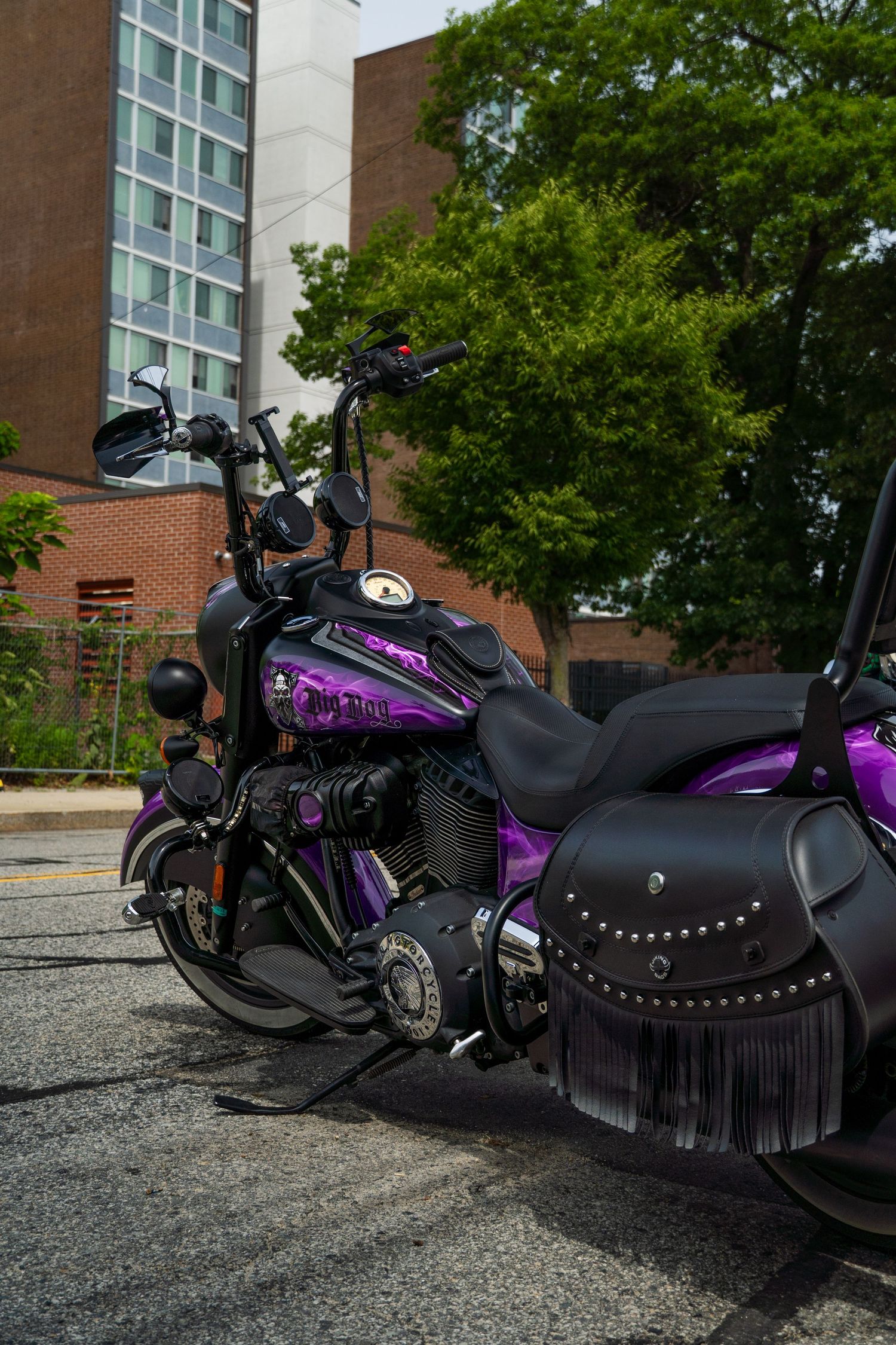 Custom air brushed painted Harley Davidson