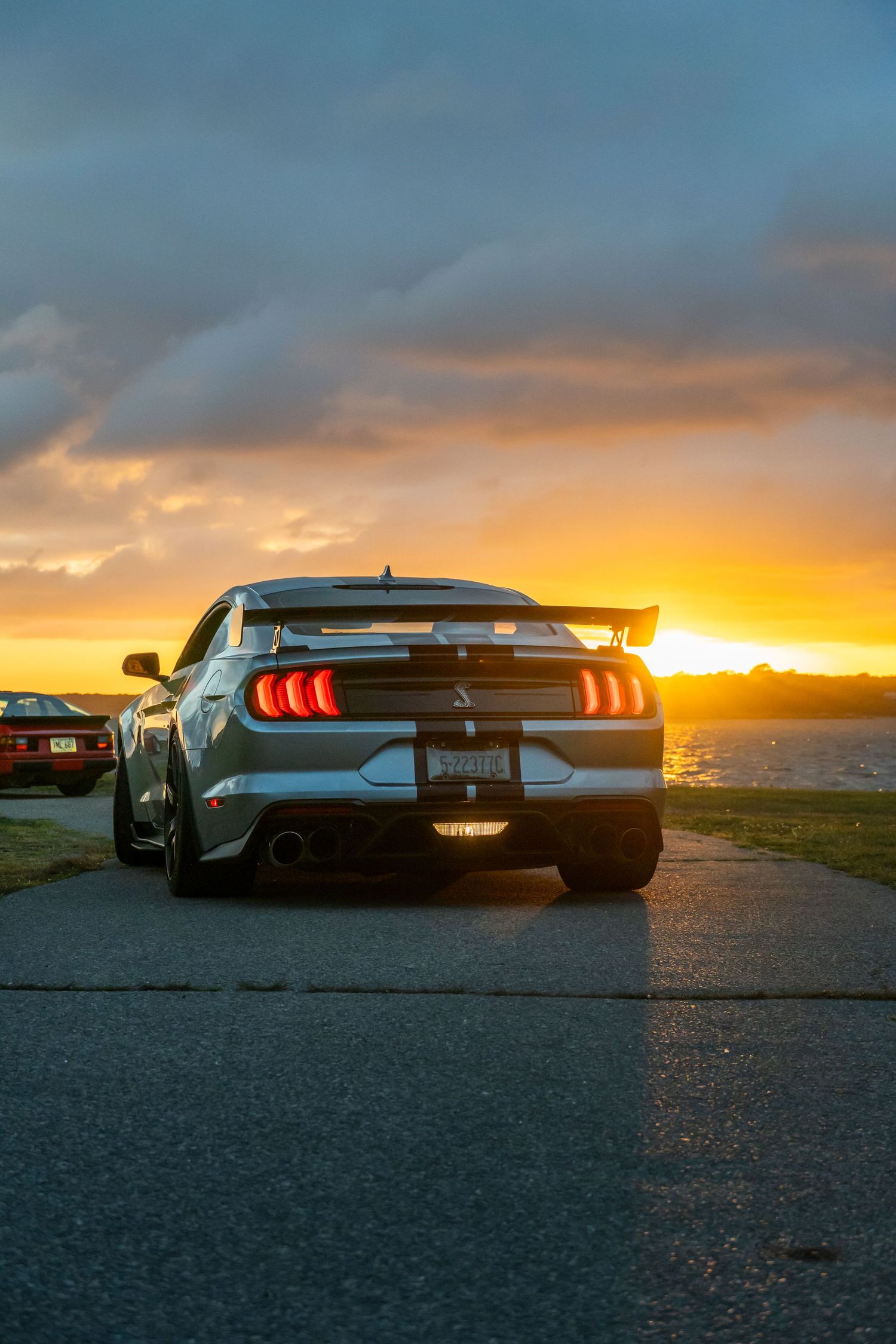 Mustang at sunset in Newport, RI