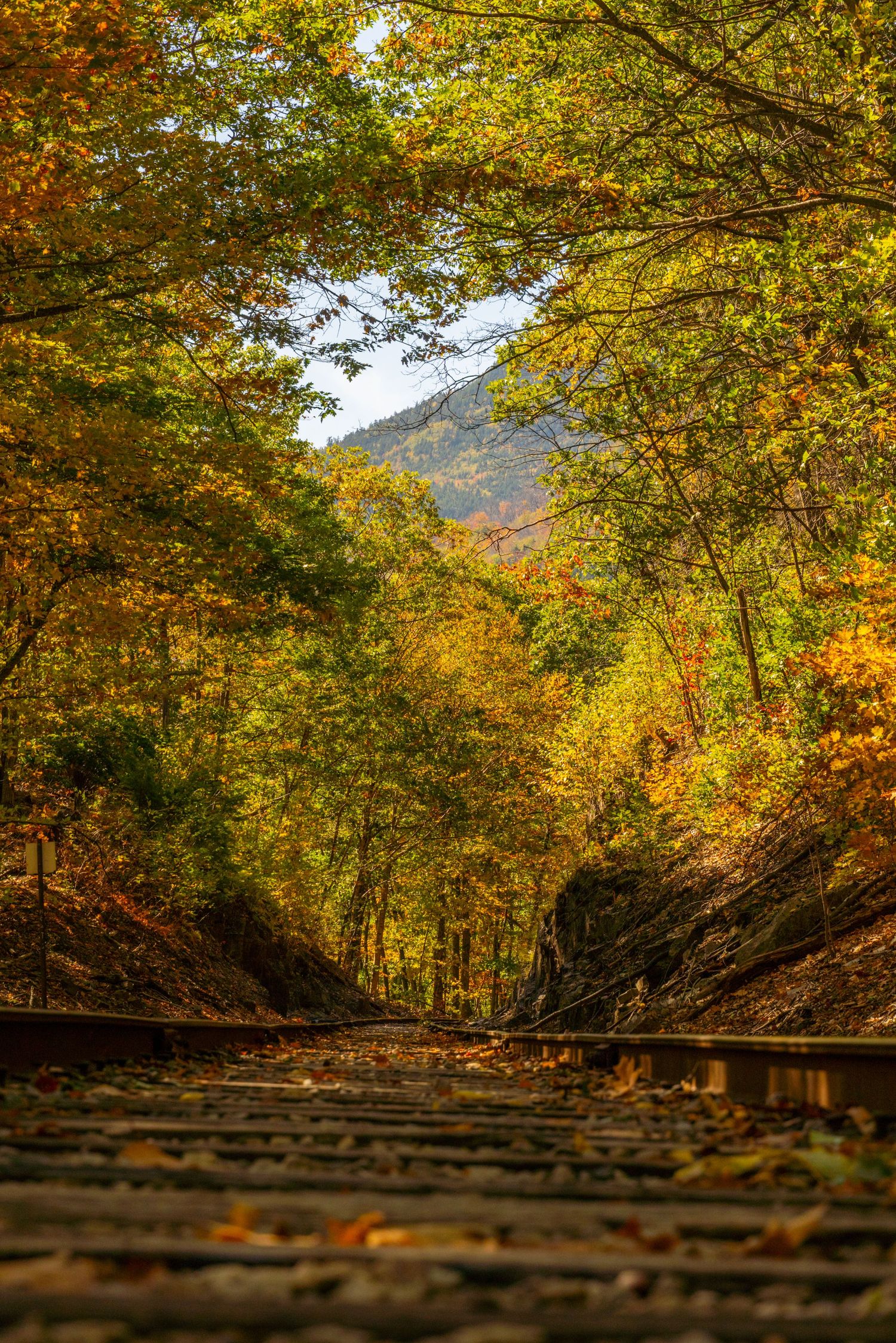 Fall photo mountains in New Hampshire
