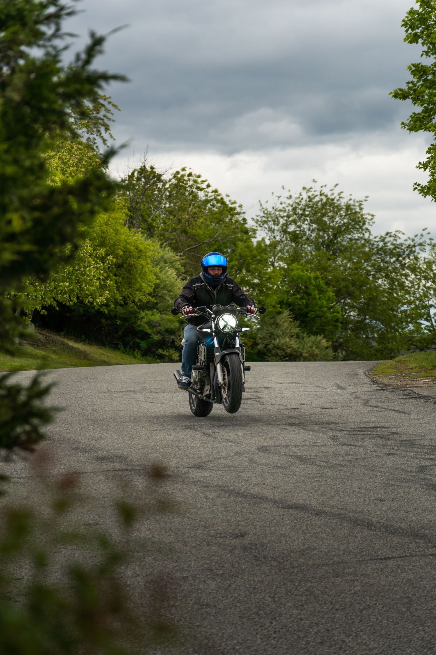 Black Honda Hornet 919 doing a wheelie