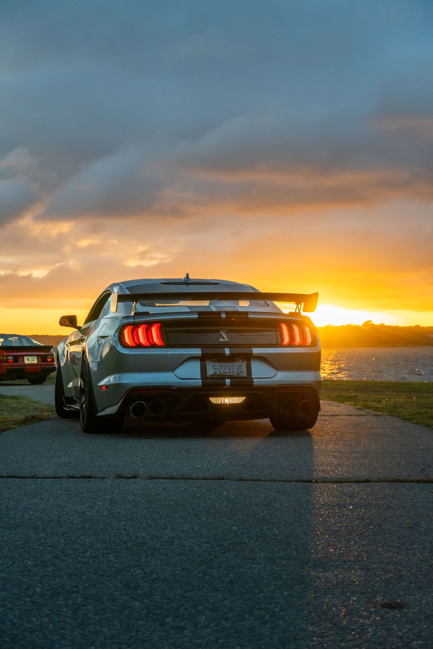 Mustang at sunset in Newport, RI
