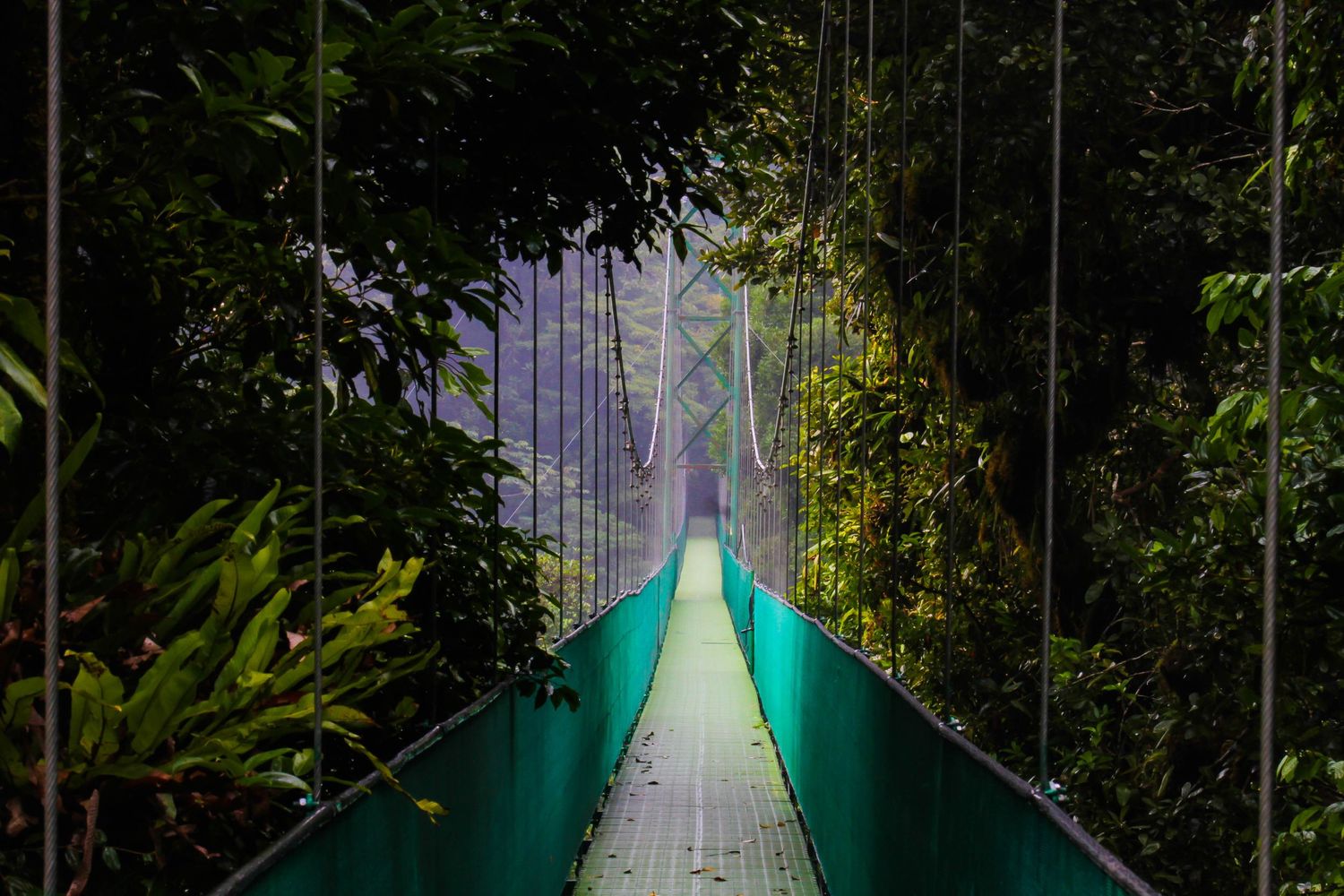 Dramatic view of a long turquoise hanging bridge pathway through tropical jungle.