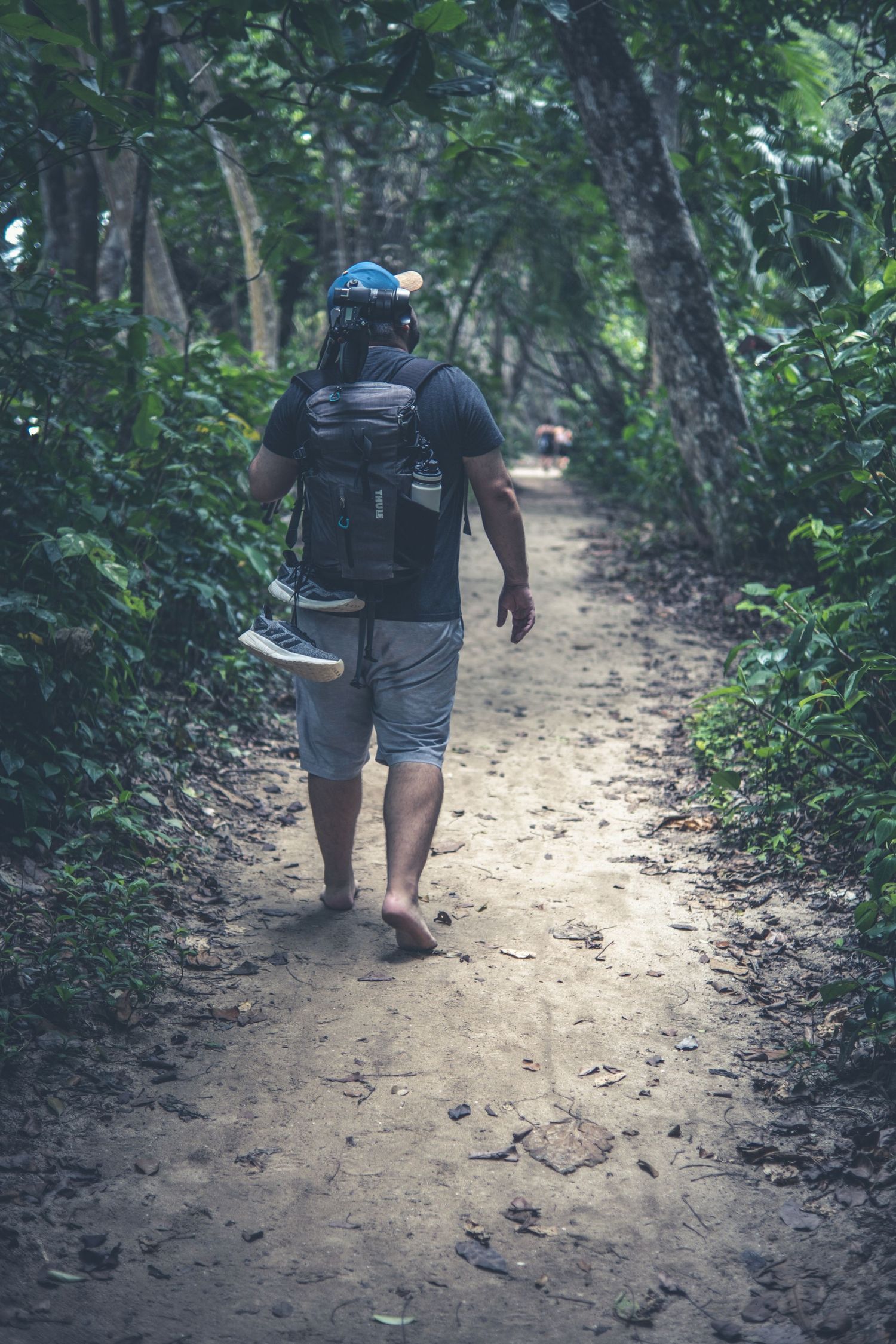 Hiker with backpack walking on dirt trail through dense forest.
