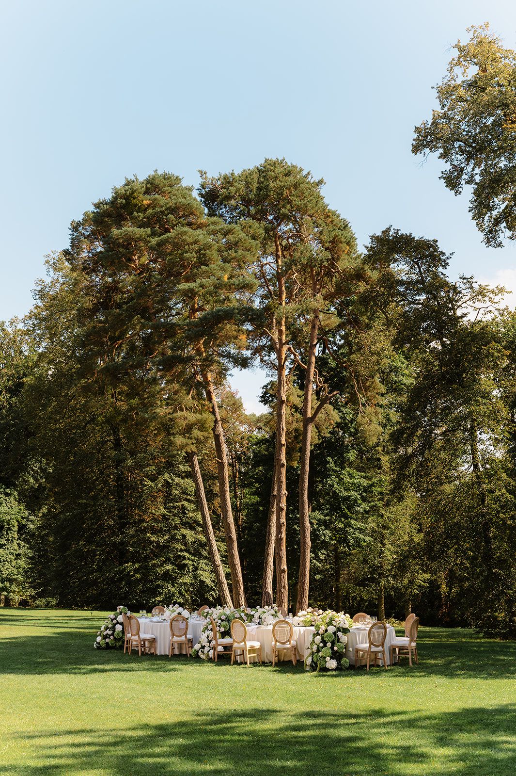 Scenic outdoor wedding venue with tall pine trees surrounding an intimate dining setup on a lush green lawn.