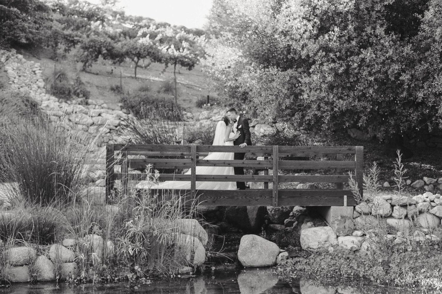 A long decorative stone ledge or garden feature in a black and white photo with multiple sections and foliage.