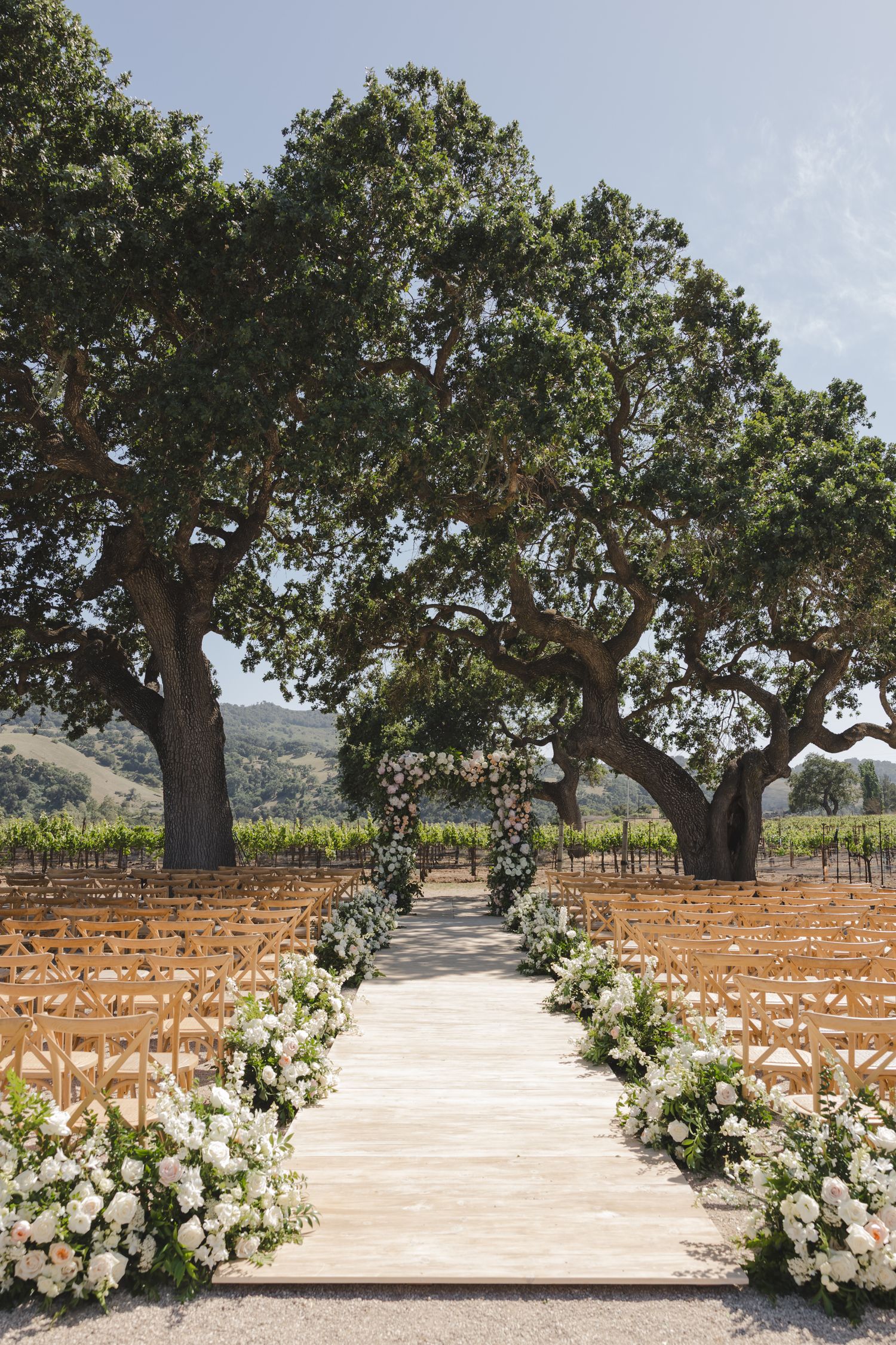 Elegant outdoor wedding ceremony setup with wooden chairs and white floral aisle arrangements under majestic oak trees.