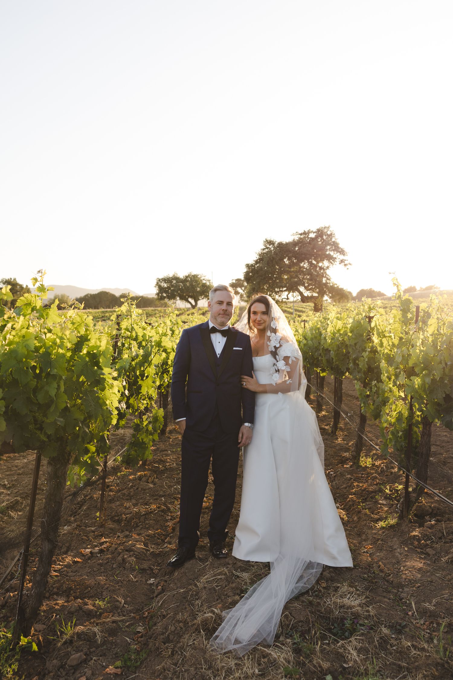 Wedding portrait in vineyard with mountains and sunset in background.