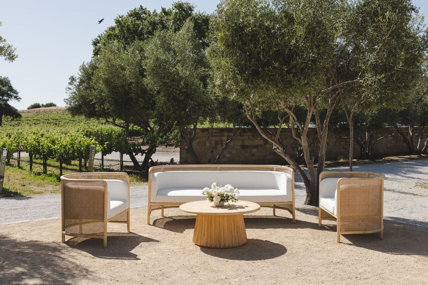 Elegant outdoor lounge setting with woven furniture and round coffee table at a vineyard surrounded by olive trees.