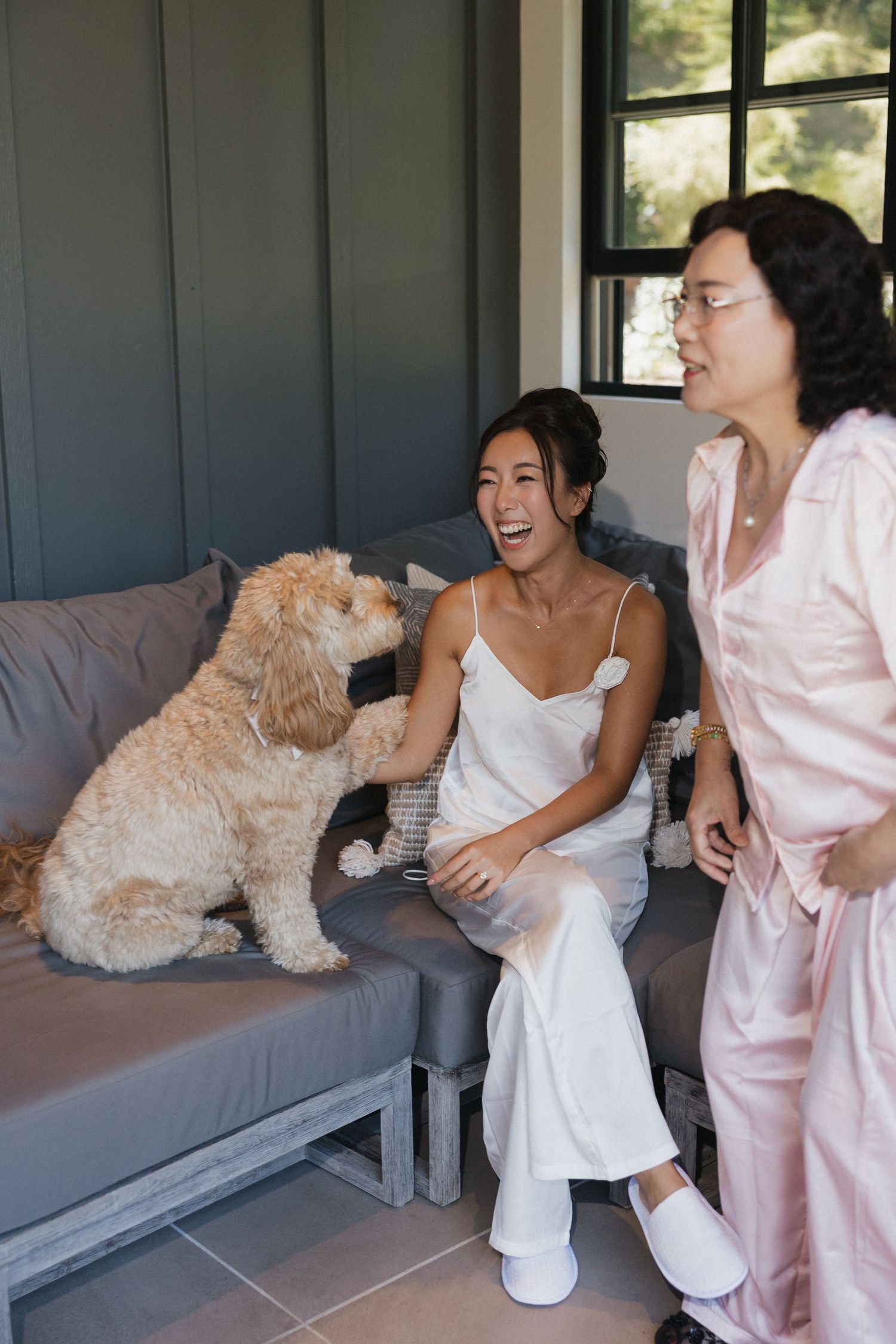 A fluffy golden dog plays energetically on a gray couch with people in casual attire.