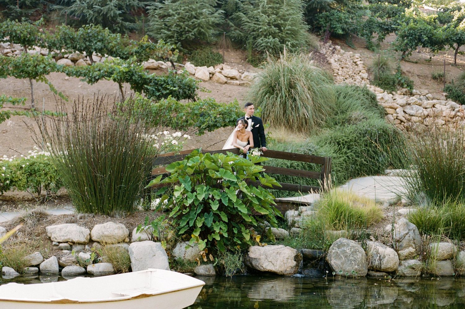 A serene rock-lined pond with ornamental grasses and lush foliage in a landscaped garden setting.