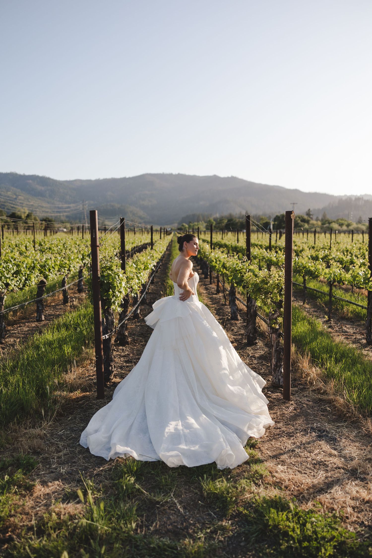 Elegant wedding dress photographed in a scenic vineyard with rolling hills in the background during golden hour.