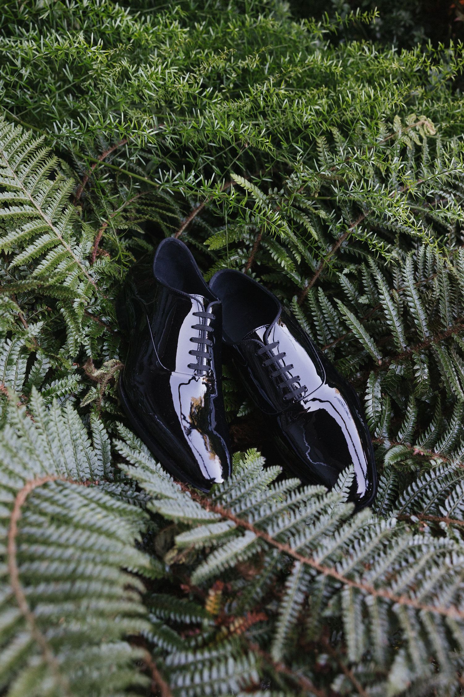 A sequence of black and white sneakers nestled among green fern leaves in a natural outdoor setting.