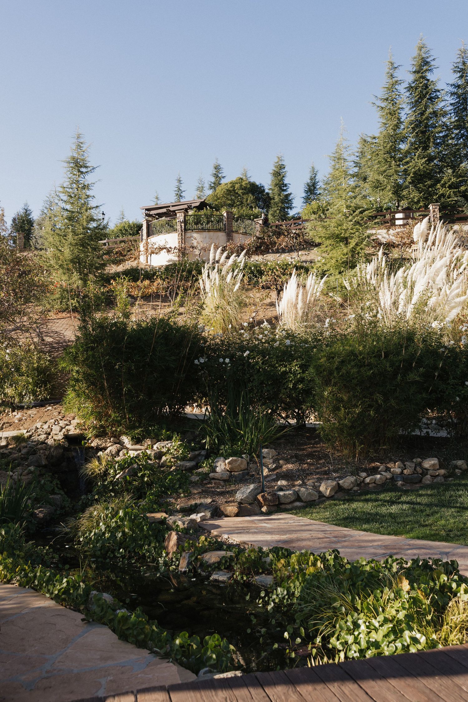 Outdoor garden setting with ornamental grasses and stone pathways at sunset.
