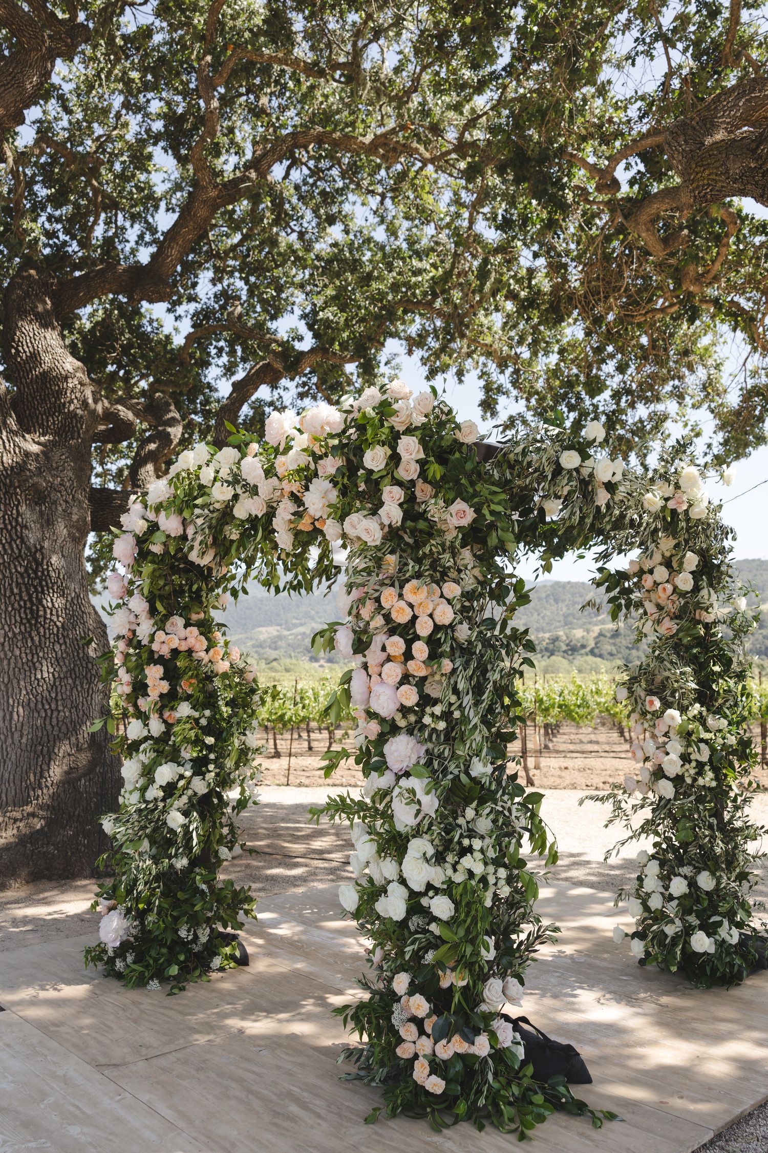 Beautiful floral arch with white roses and greenery in a sunlit vineyard setting.