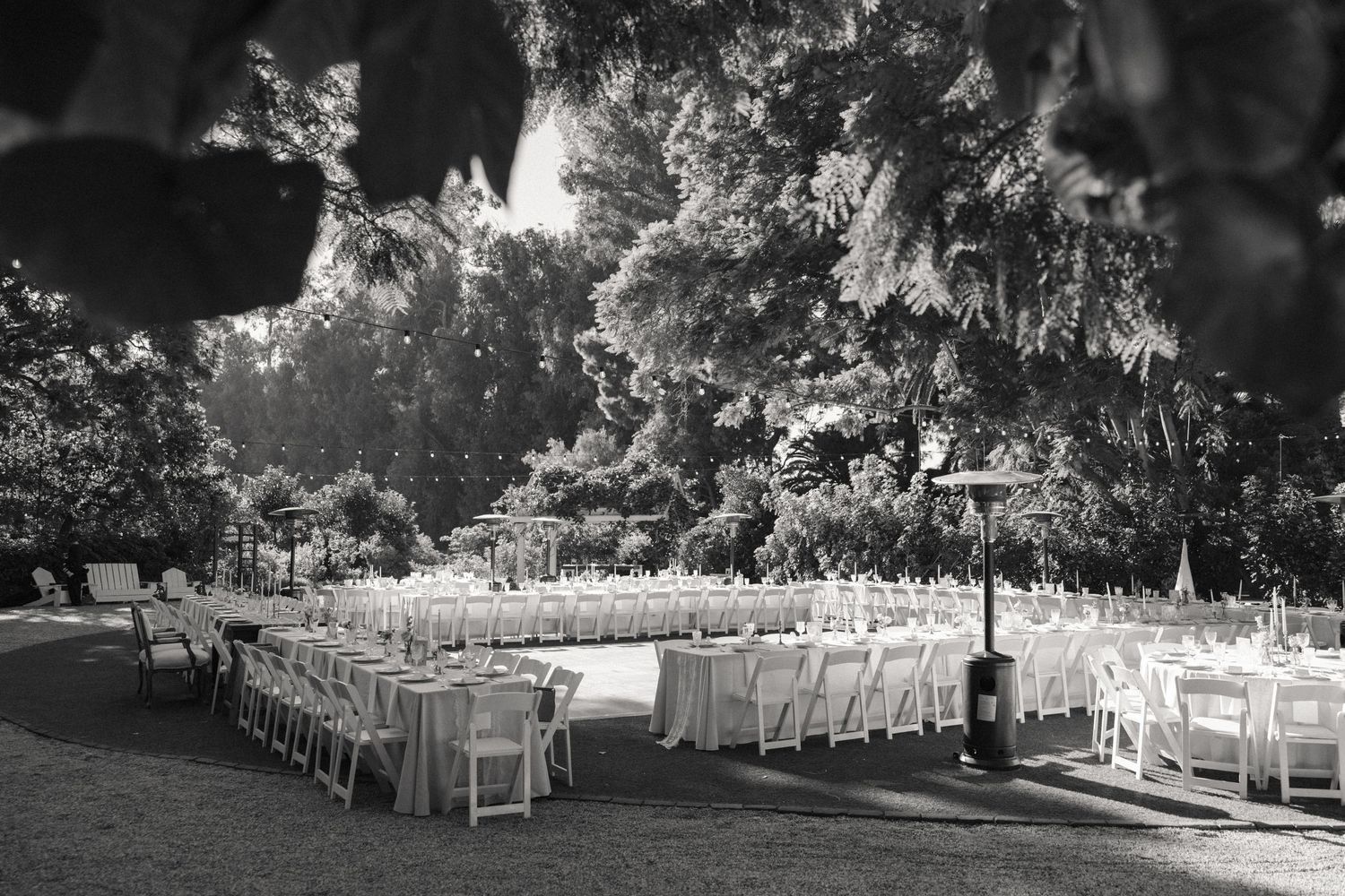 Outdoor wedding reception setup with white chairs arranged in rows under tall trees in a garden setting.