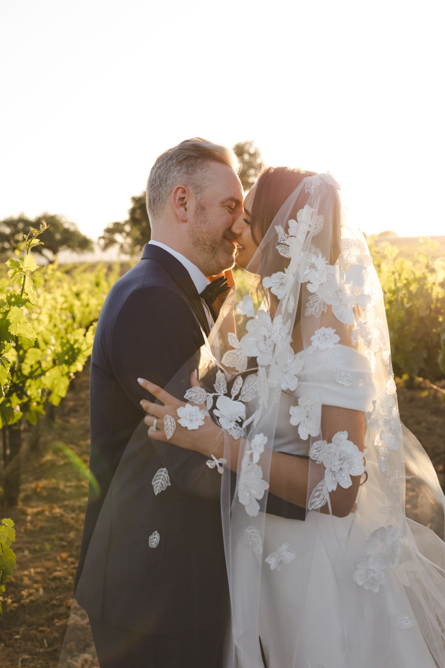 Wedding couple embracing in vineyard during golden hour.