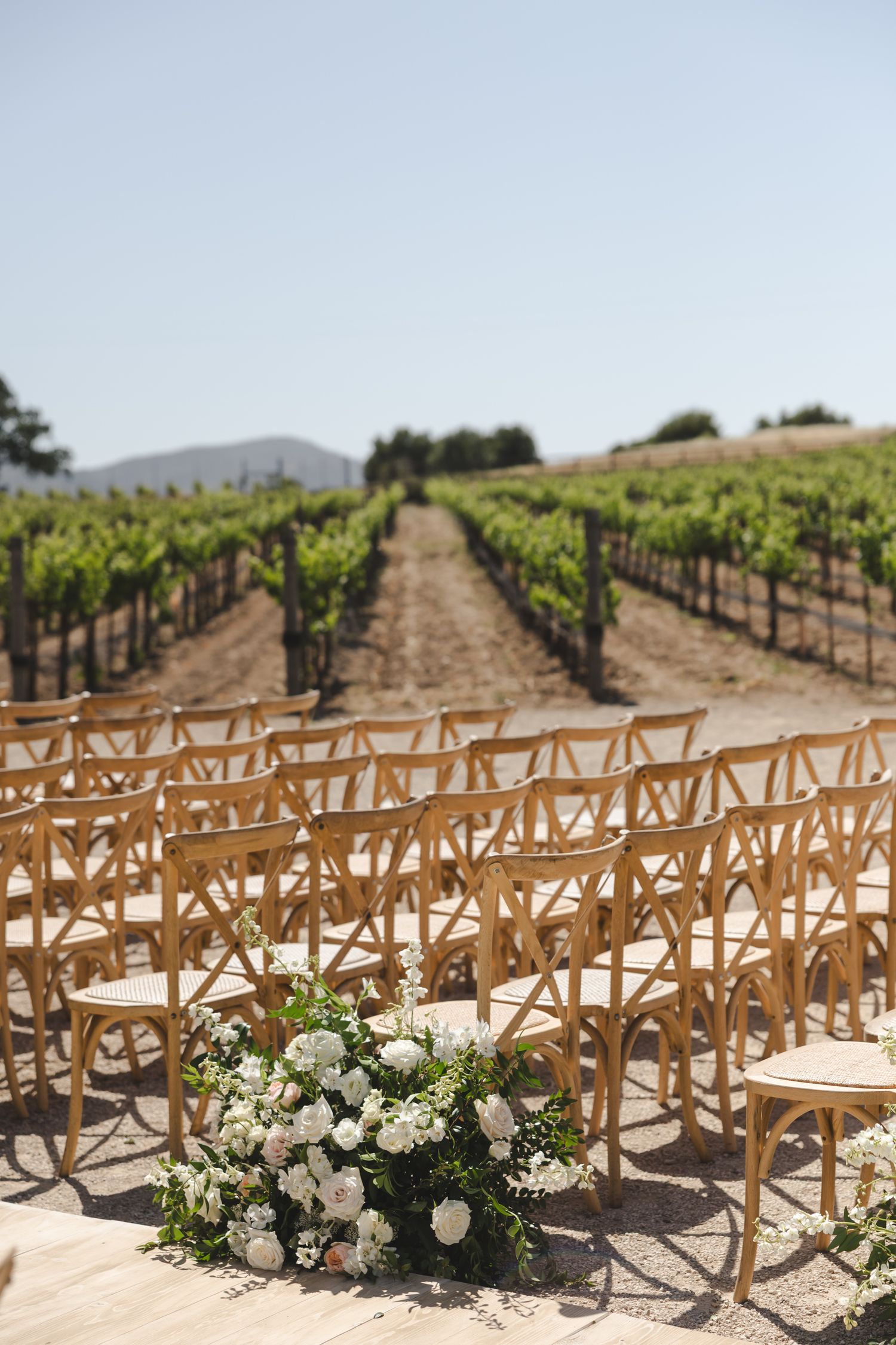 Wooden cross-back chairs arranged in rows at an outdoor vineyard wedding ceremony.