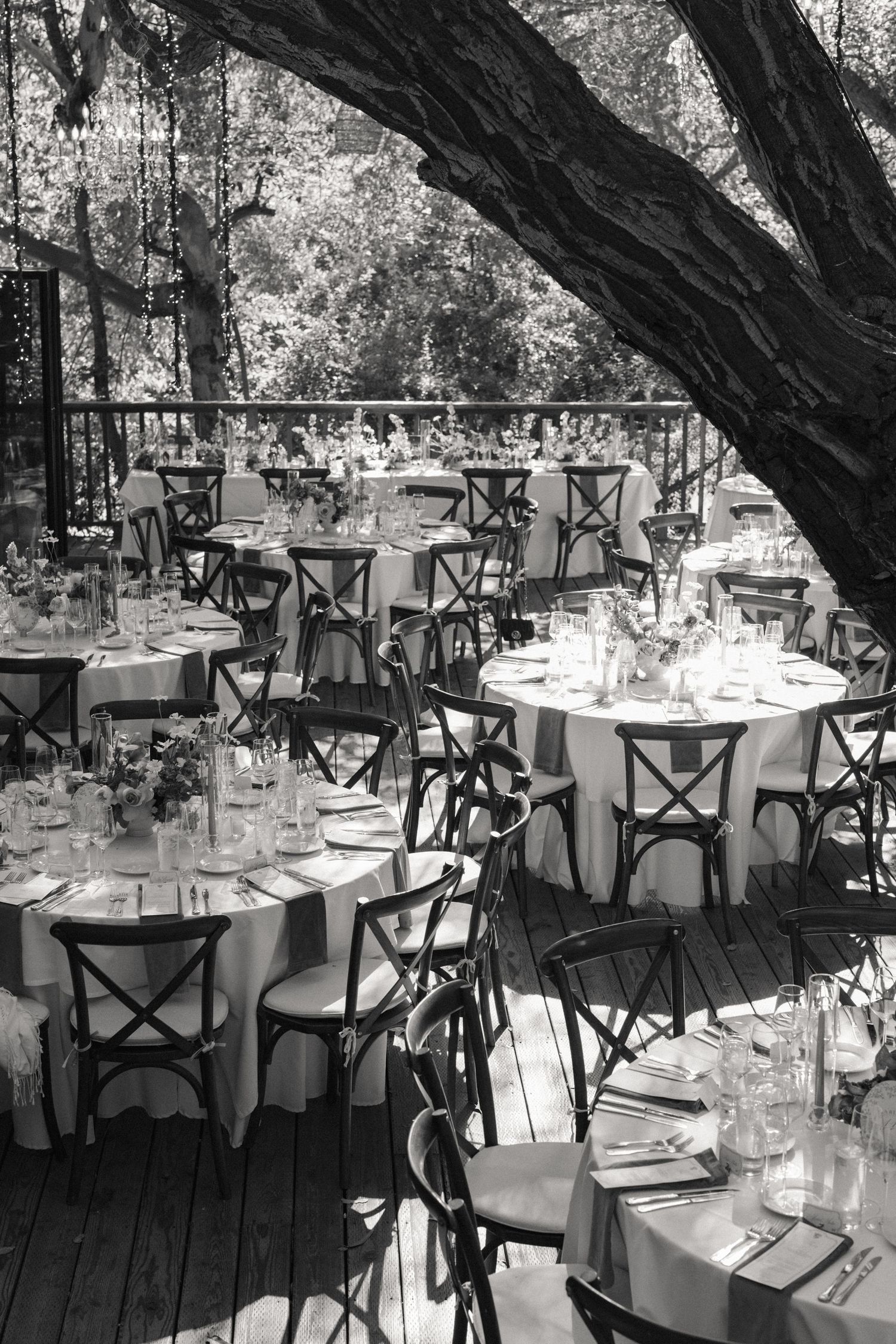 Black and white outdoor wedding reception with round tables under large tree.