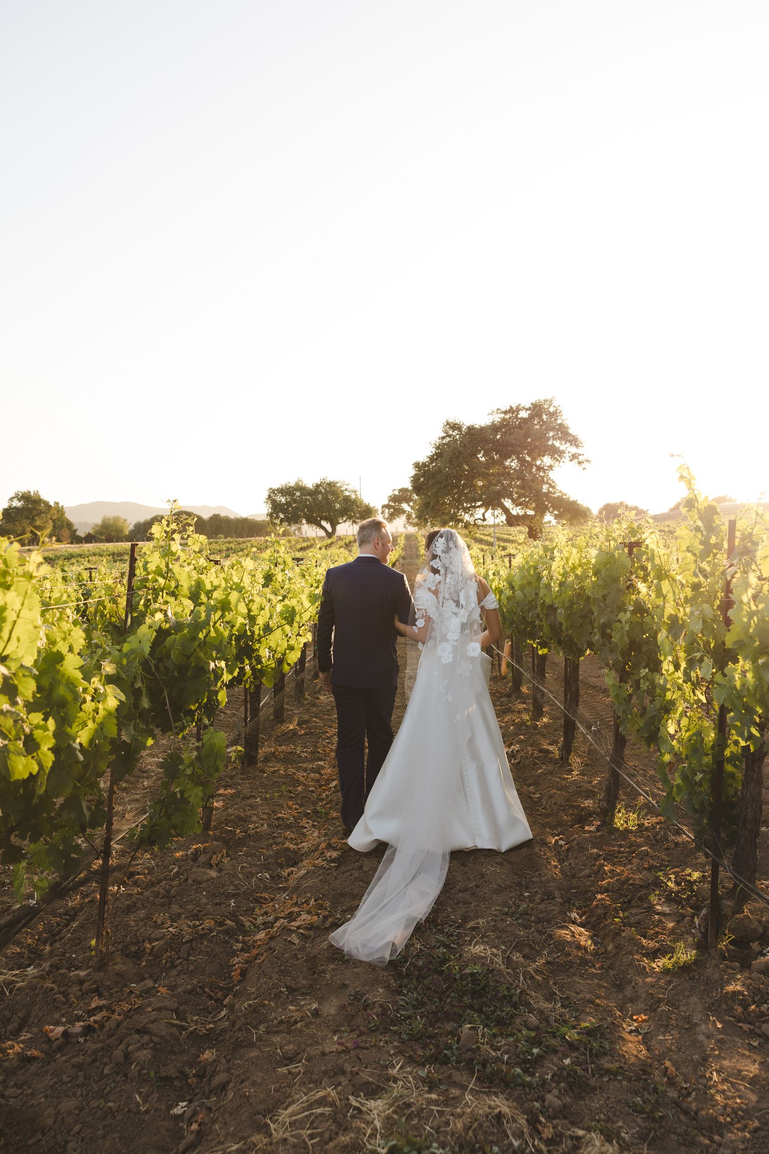 Newlyweds walking through vineyard rows at sunset.