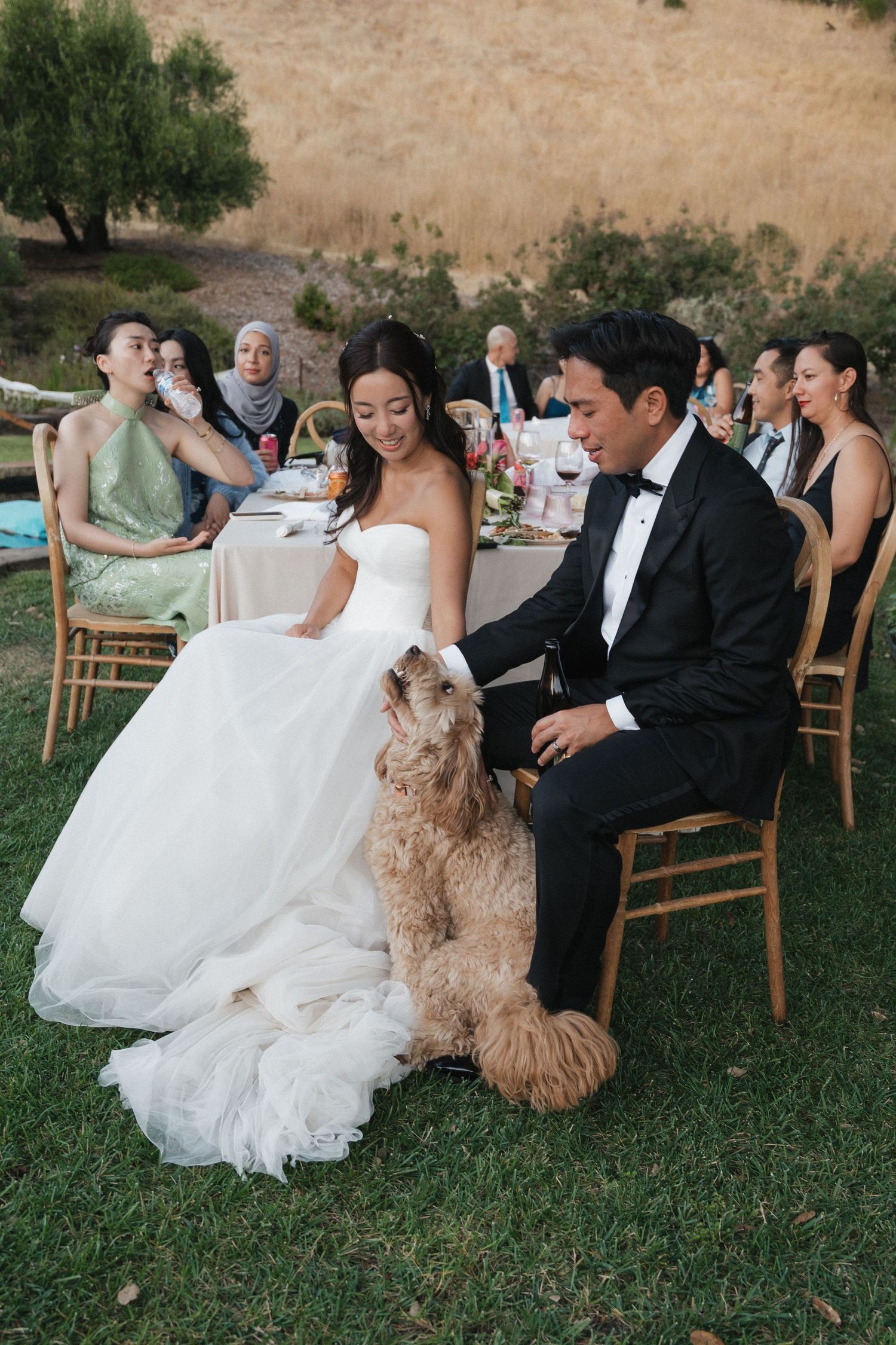 Newlyweds sitting outdoors with fluffy brown dog at wedding reception.
