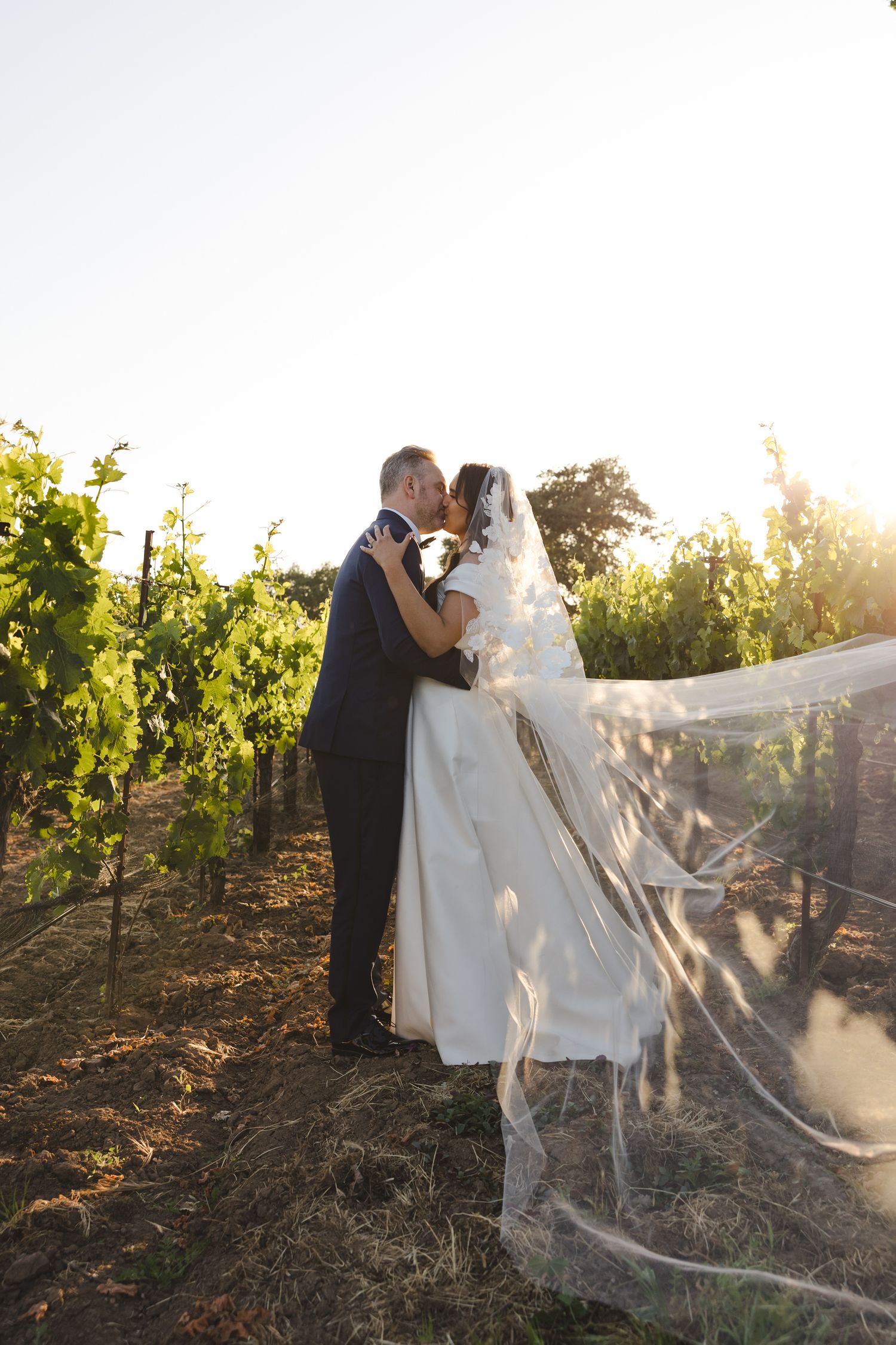 Romantic sunset portrait of newlyweds embracing in a vineyard with flowing veil.