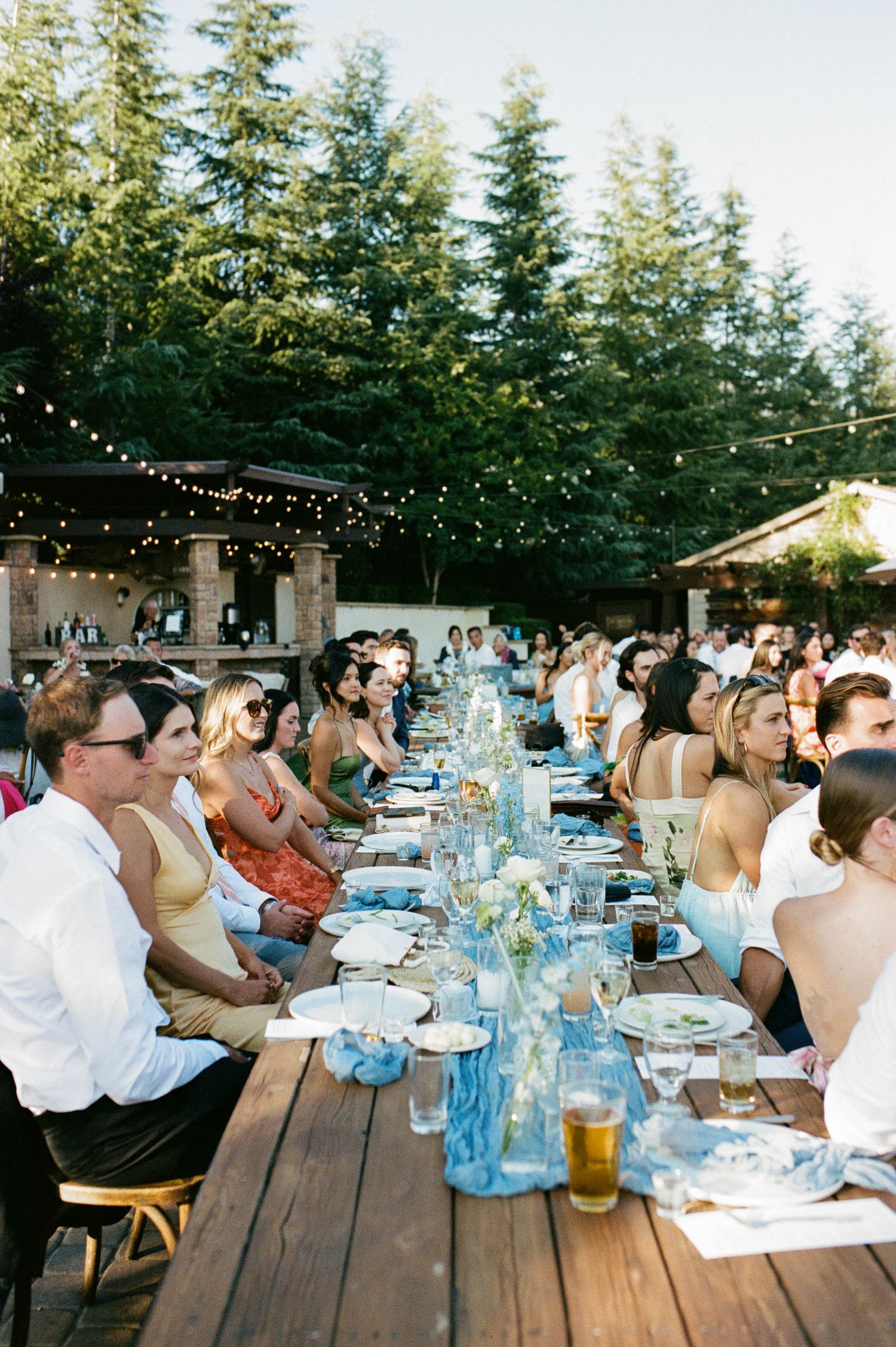 Wedding reception guests seated at long tables outdoors under string lights and tall evergreen trees.
