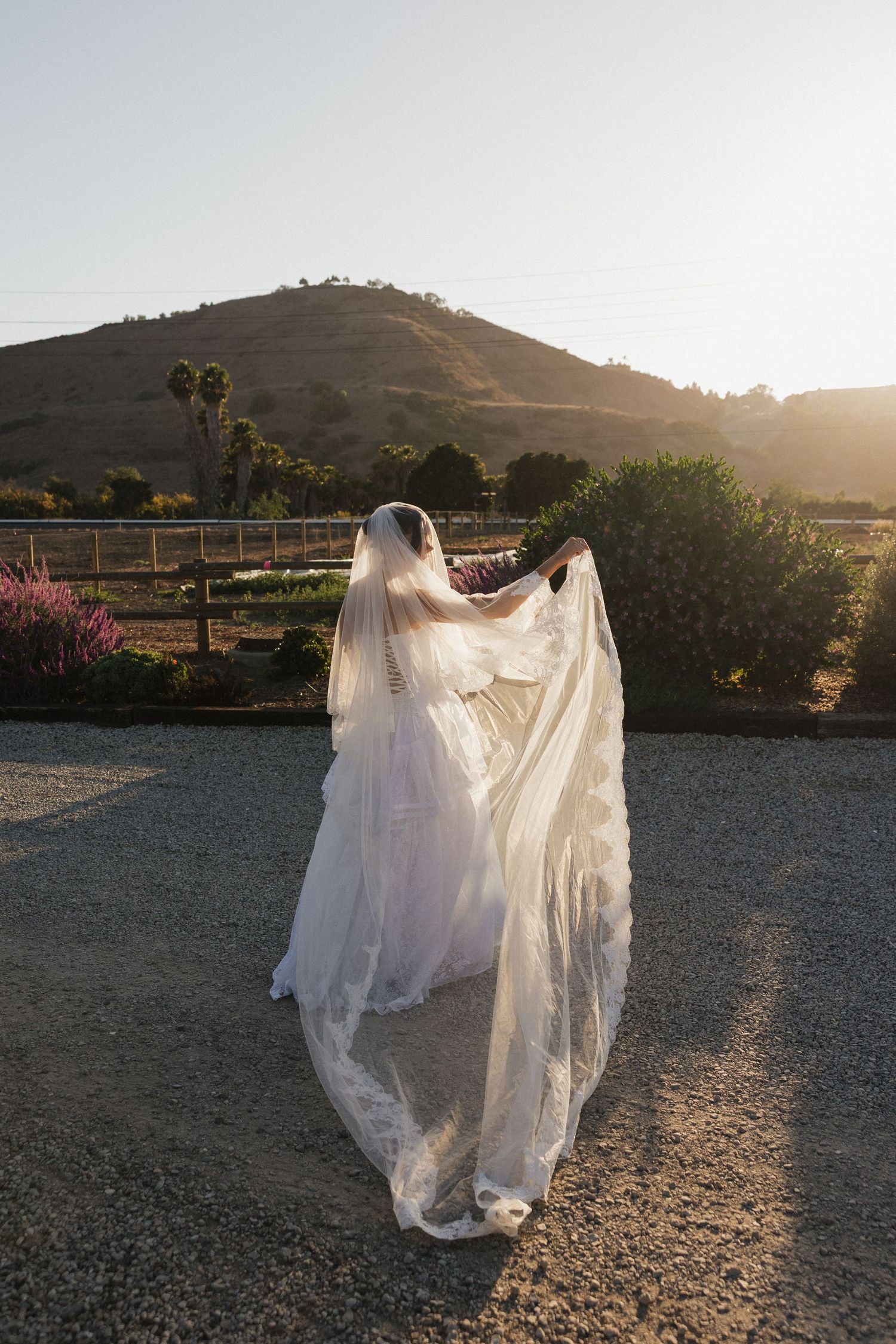 A flowing white wedding veil billows in the breeze against a scenic mountain landscape at golden hour.