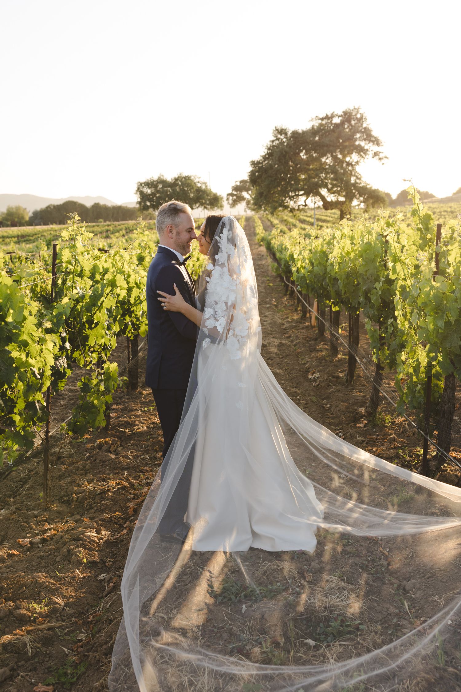 Wedding couple photographed in a vineyard with flowing white veil catching the evening light.