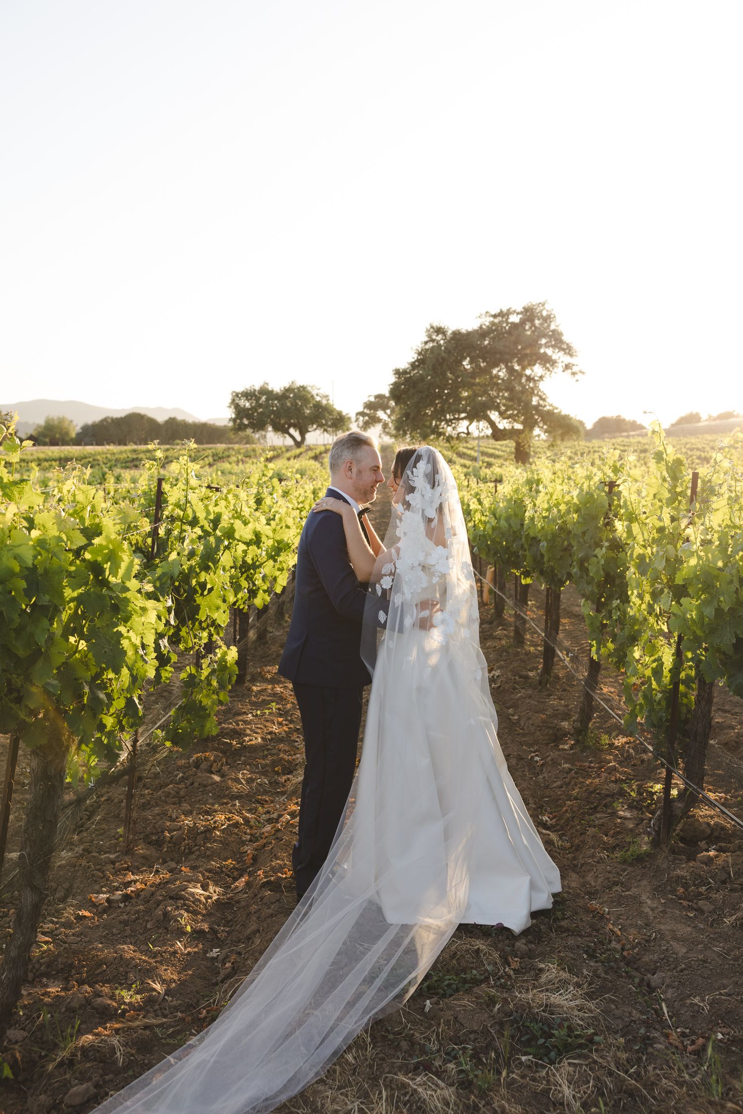 Wedding couple embraces in a sunlit vineyard with long veil flowing behind them.