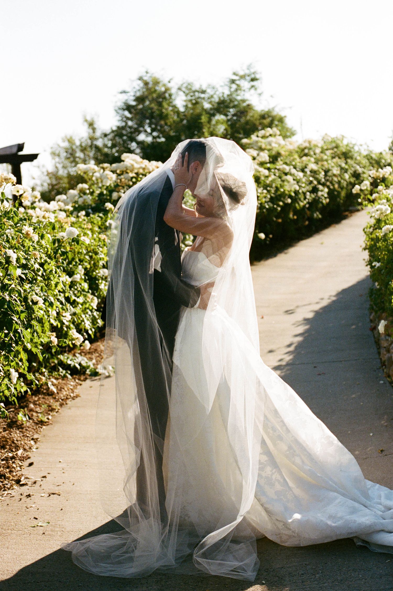 Ethereal wedding photo of couple embracing on garden path with flowing veil in sunlight.
