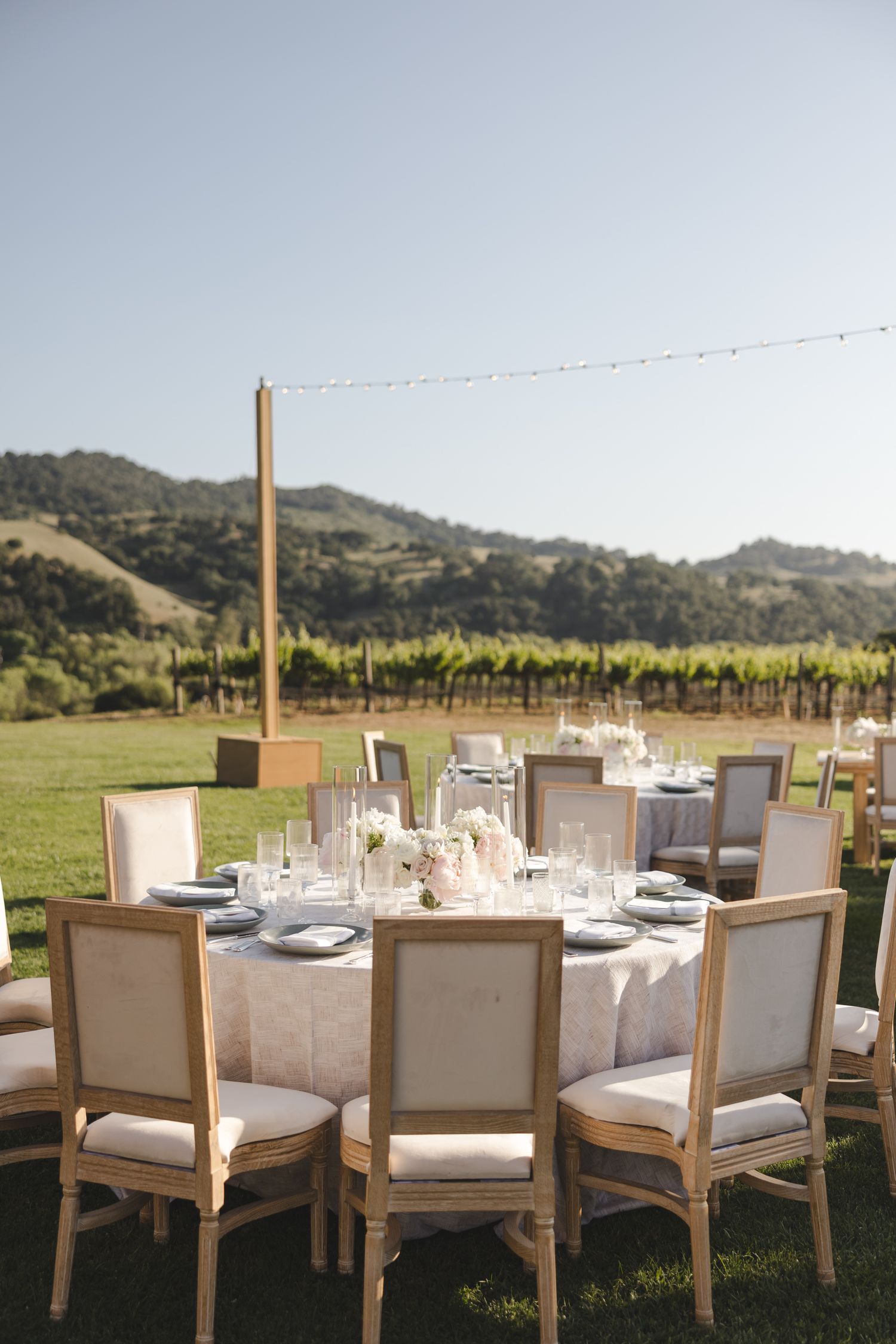 Elegant outdoor wedding reception table setting in a vineyard with mountain views.