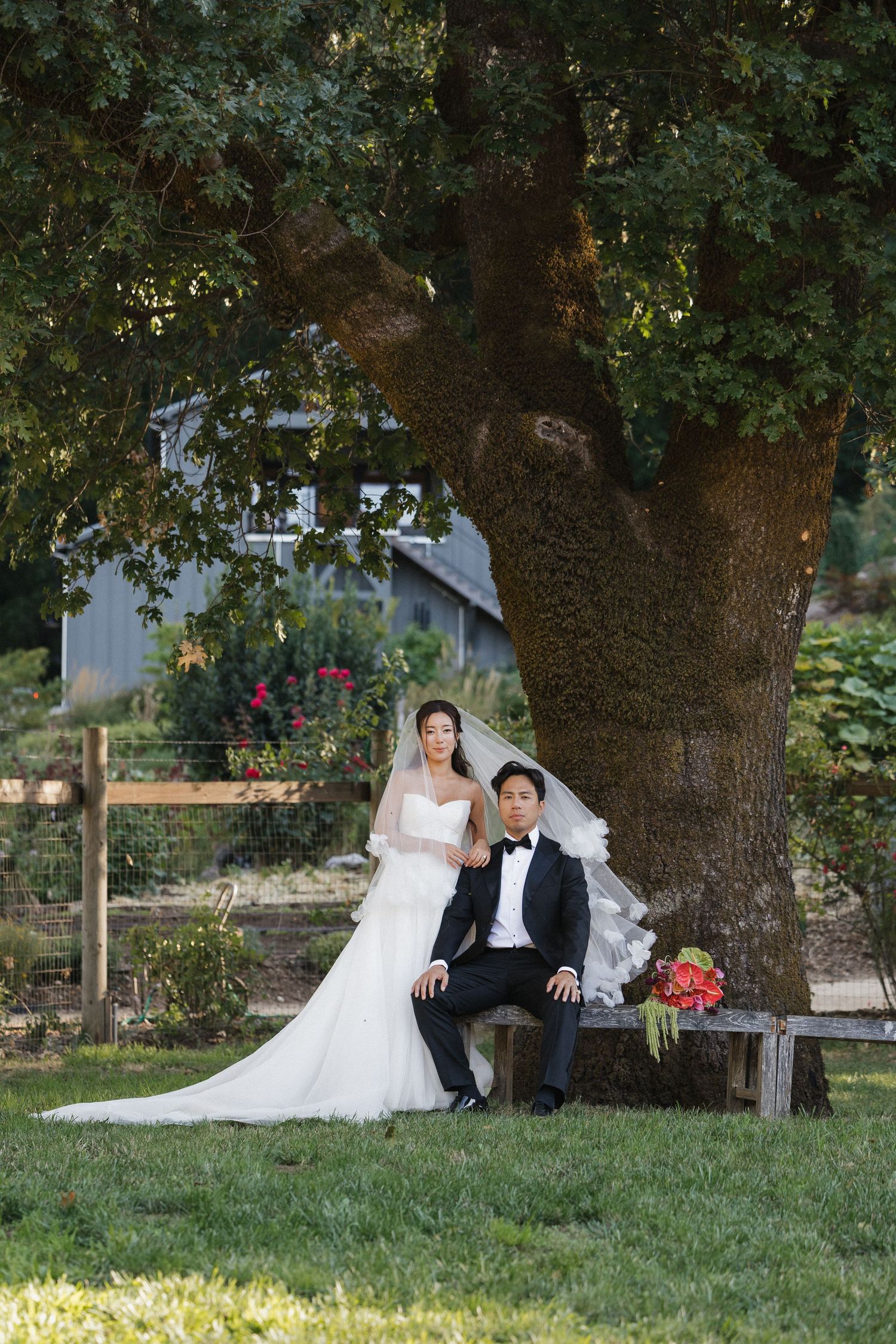 Wedding couple sits on rustic bench under large tree in garden setting.