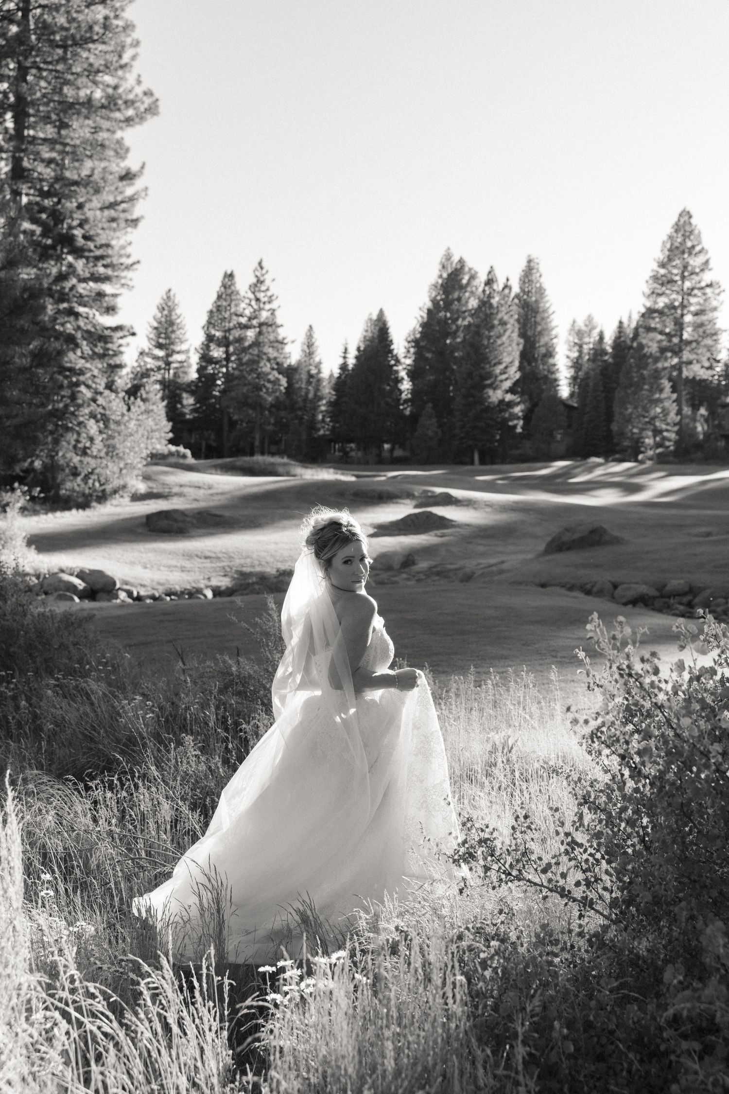 Bride in white gown and veil stands in nature with tall pine trees and green golf course in black and white photo.